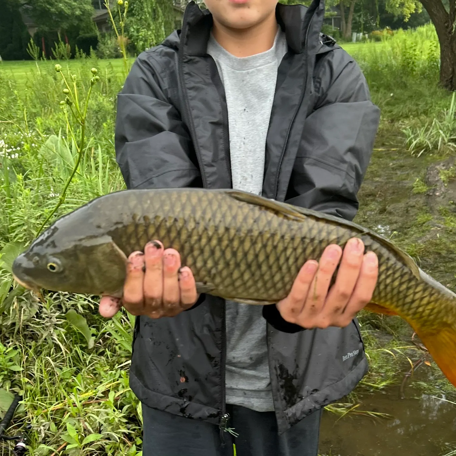 Fish caught on Fishbrain