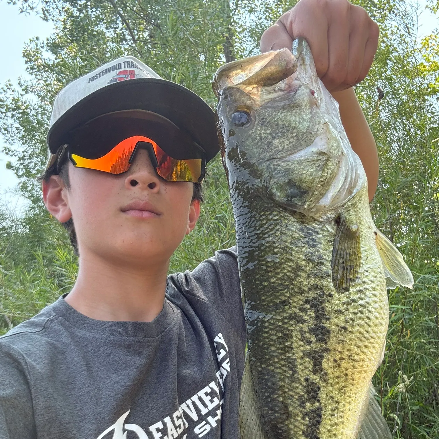 Largemouth bass caught on Fishbrain