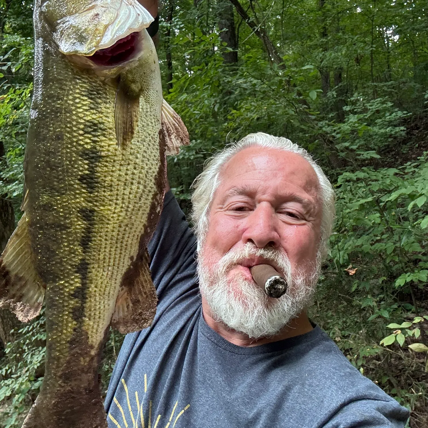 Spotted bass caught on Fishbrain