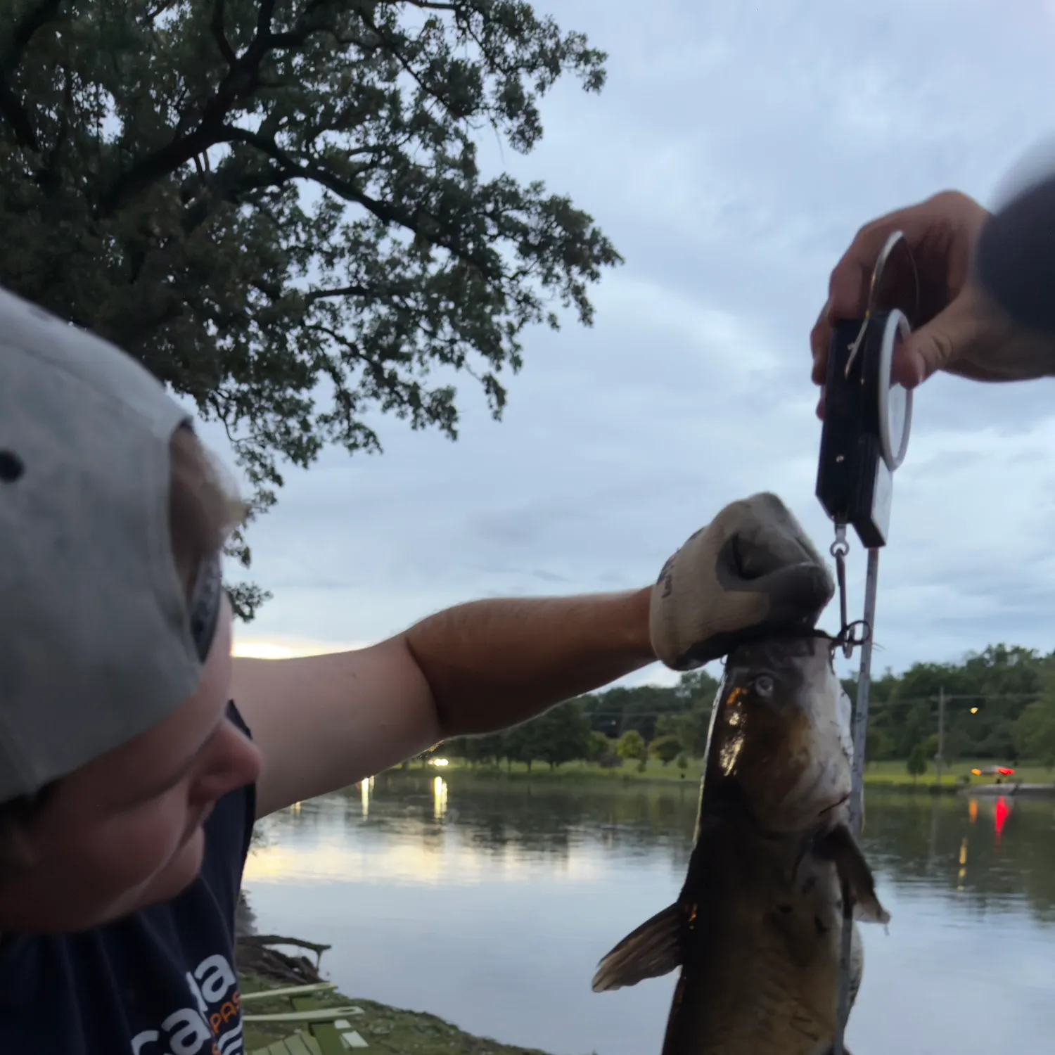 catch