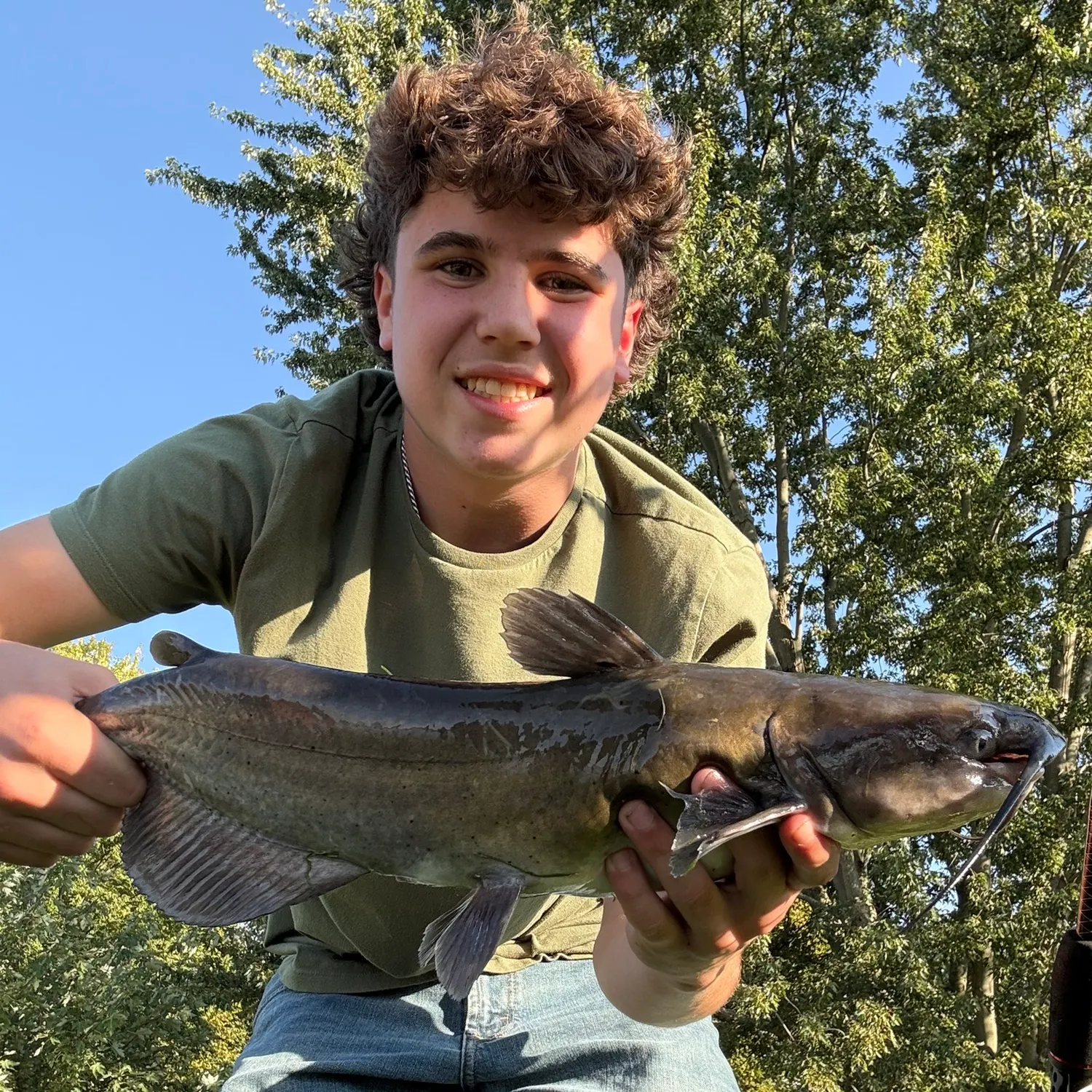 Channel catfish caught on Fishbrain
