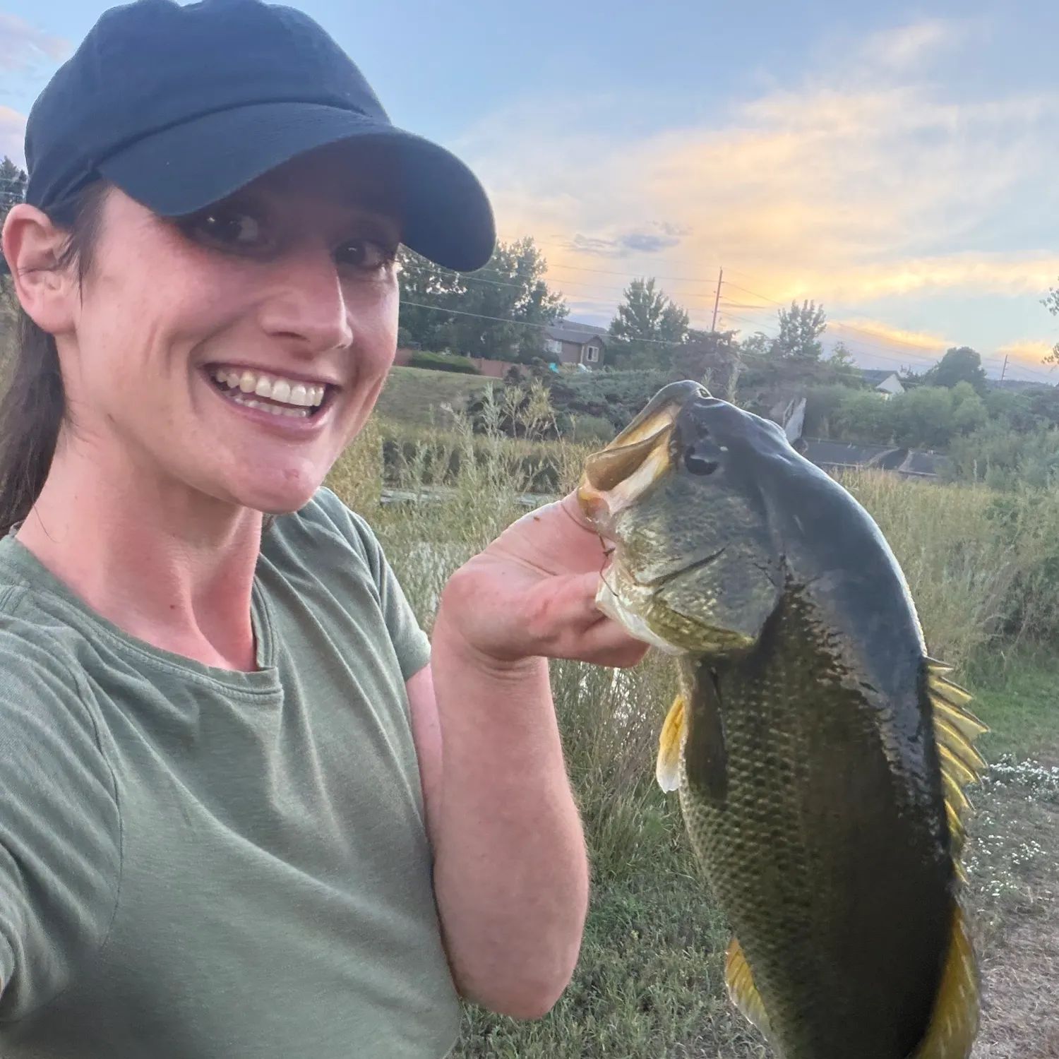 Largemouth bass caught on Fishbrain