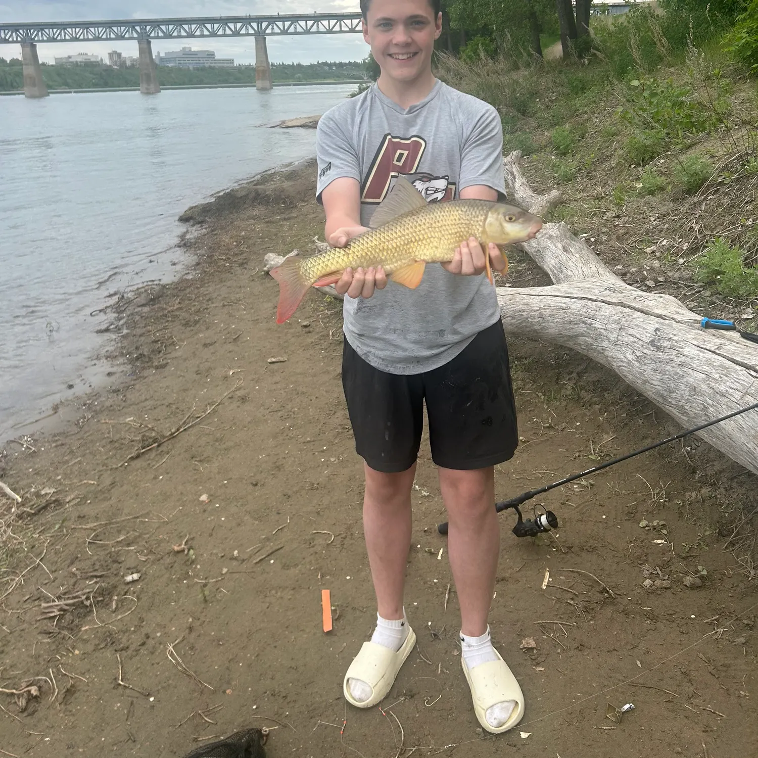 The most recent River redhorse catches on Fishbrain