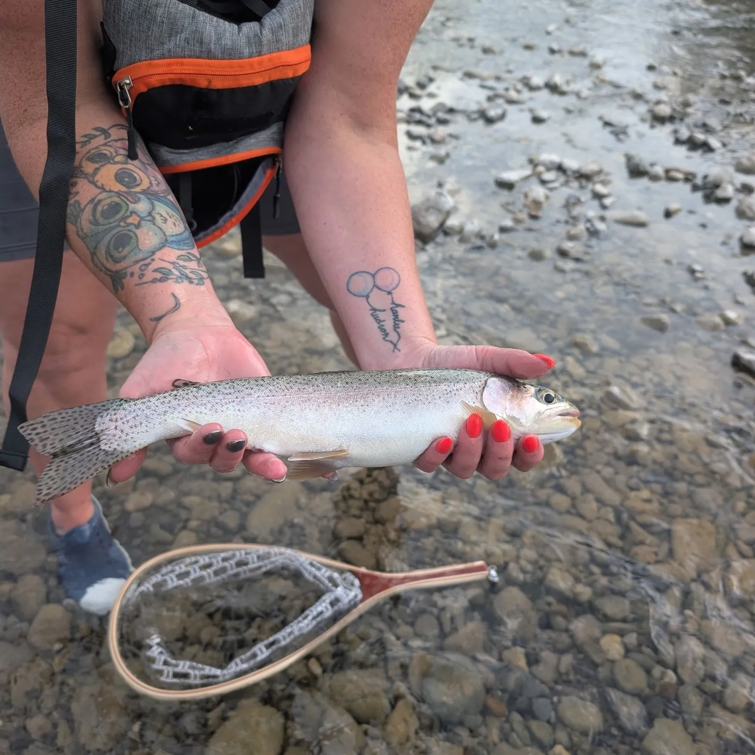 Rainbow trout caught on Fishbrain