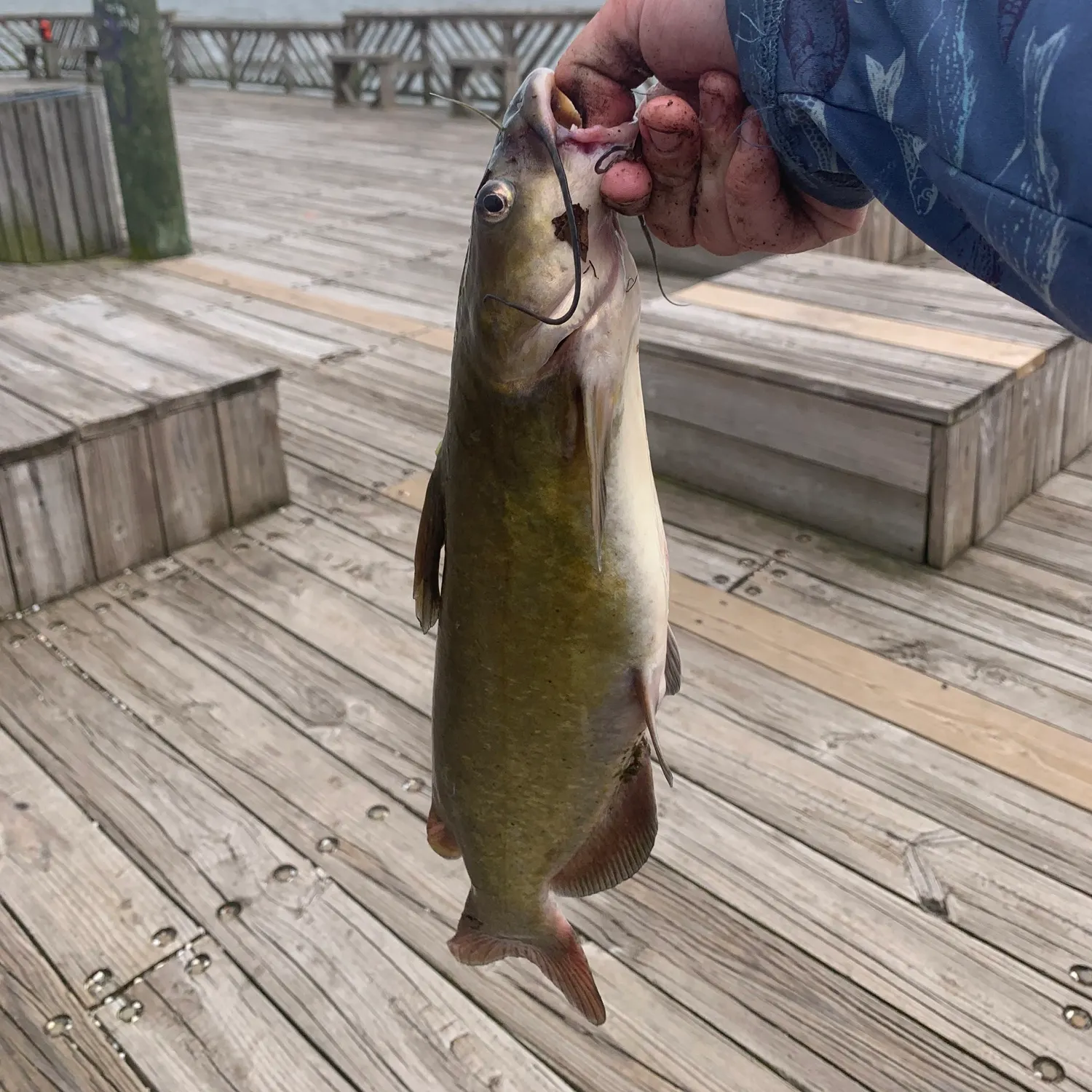 catch