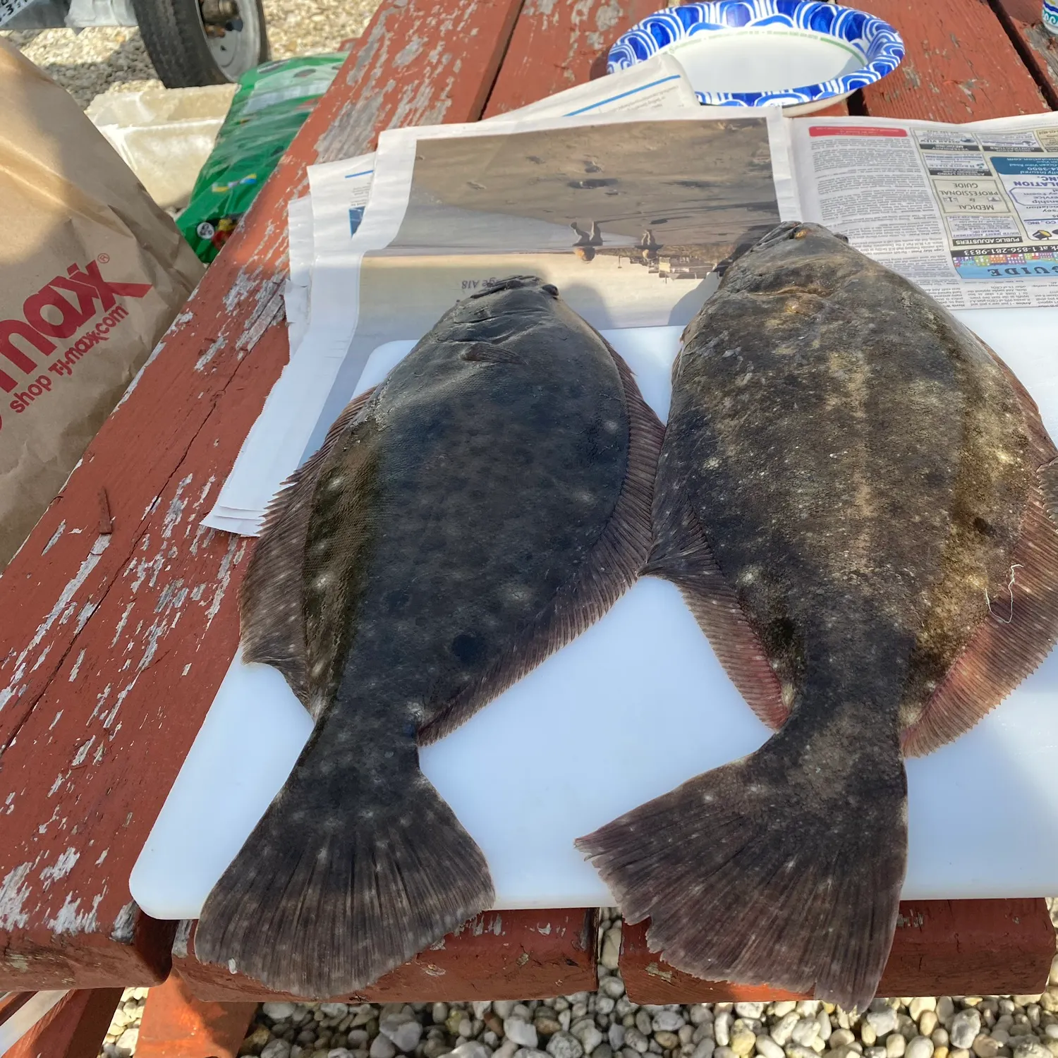 recently logged catches