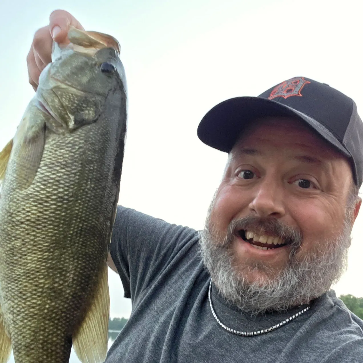 Smallmouth bass caught on Fishbrain