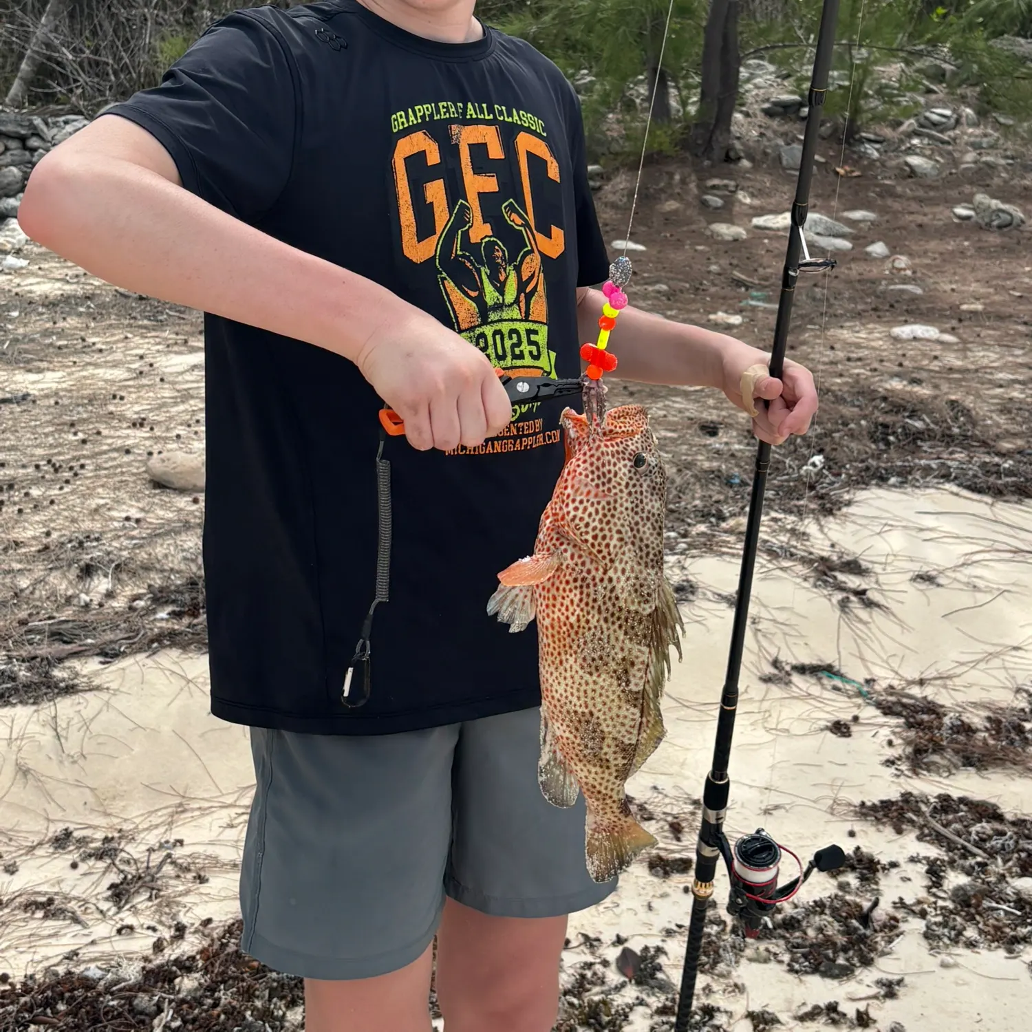 The most recent Speckled hind catches on Fishbrain