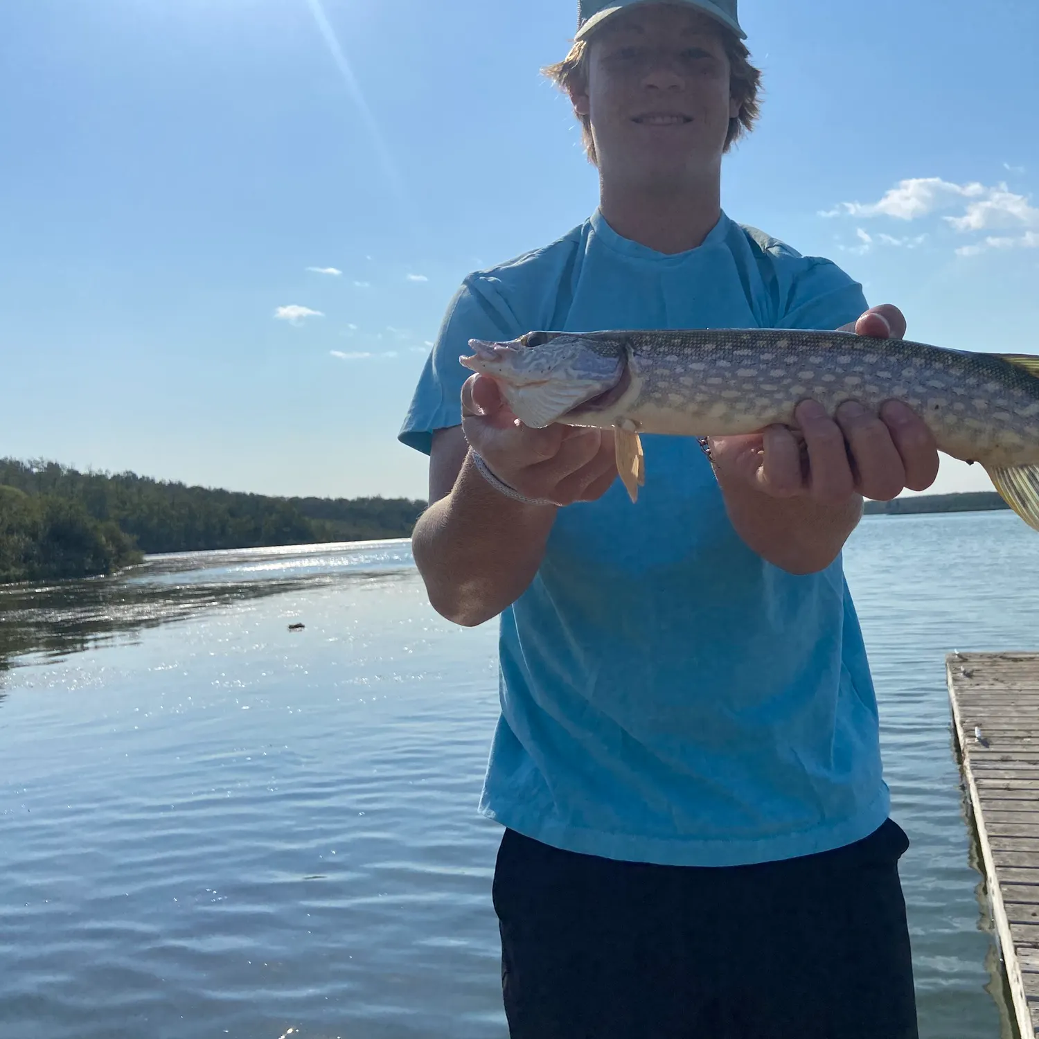 Northern pike caught on Fishbrain