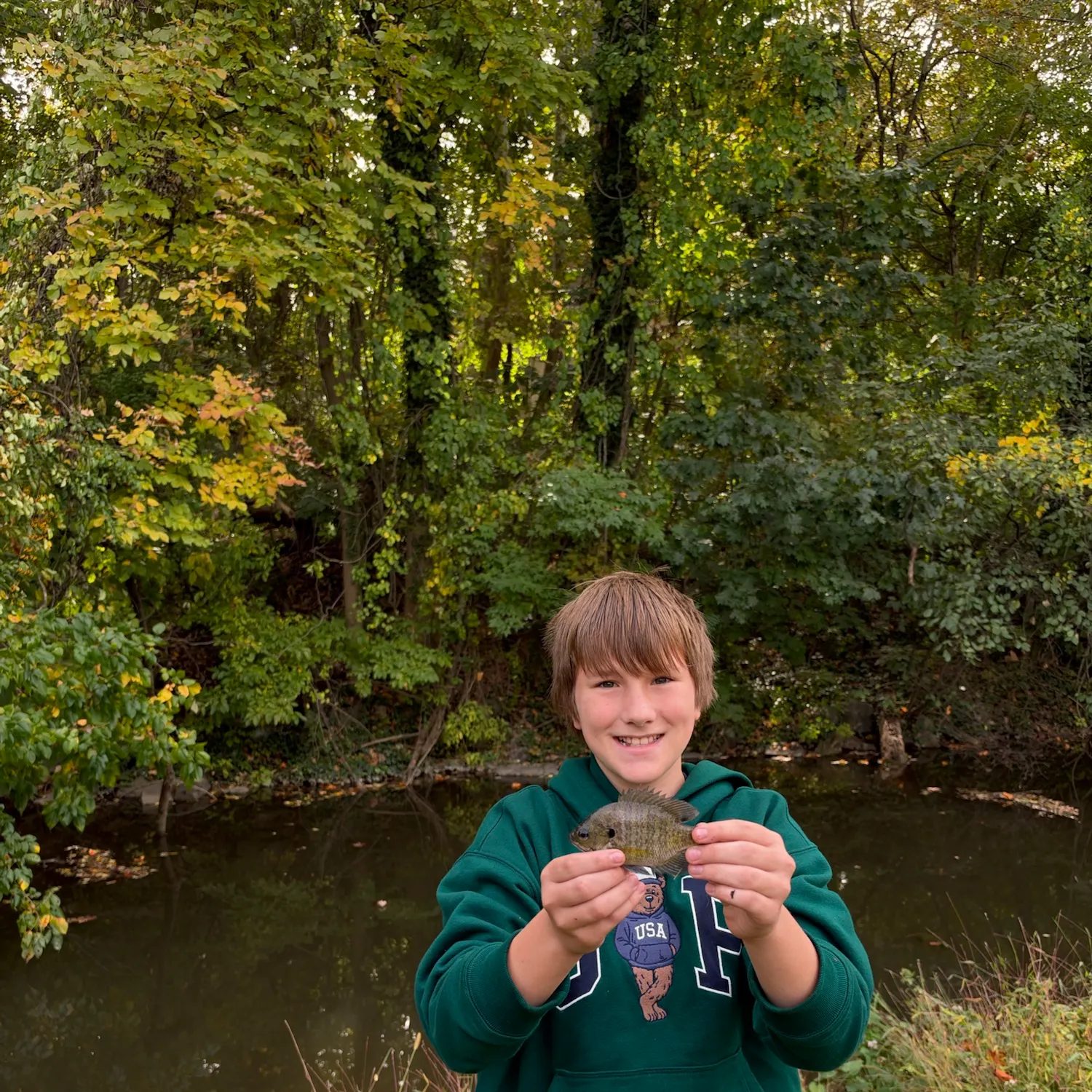 Bluegill caught on Fishbrain