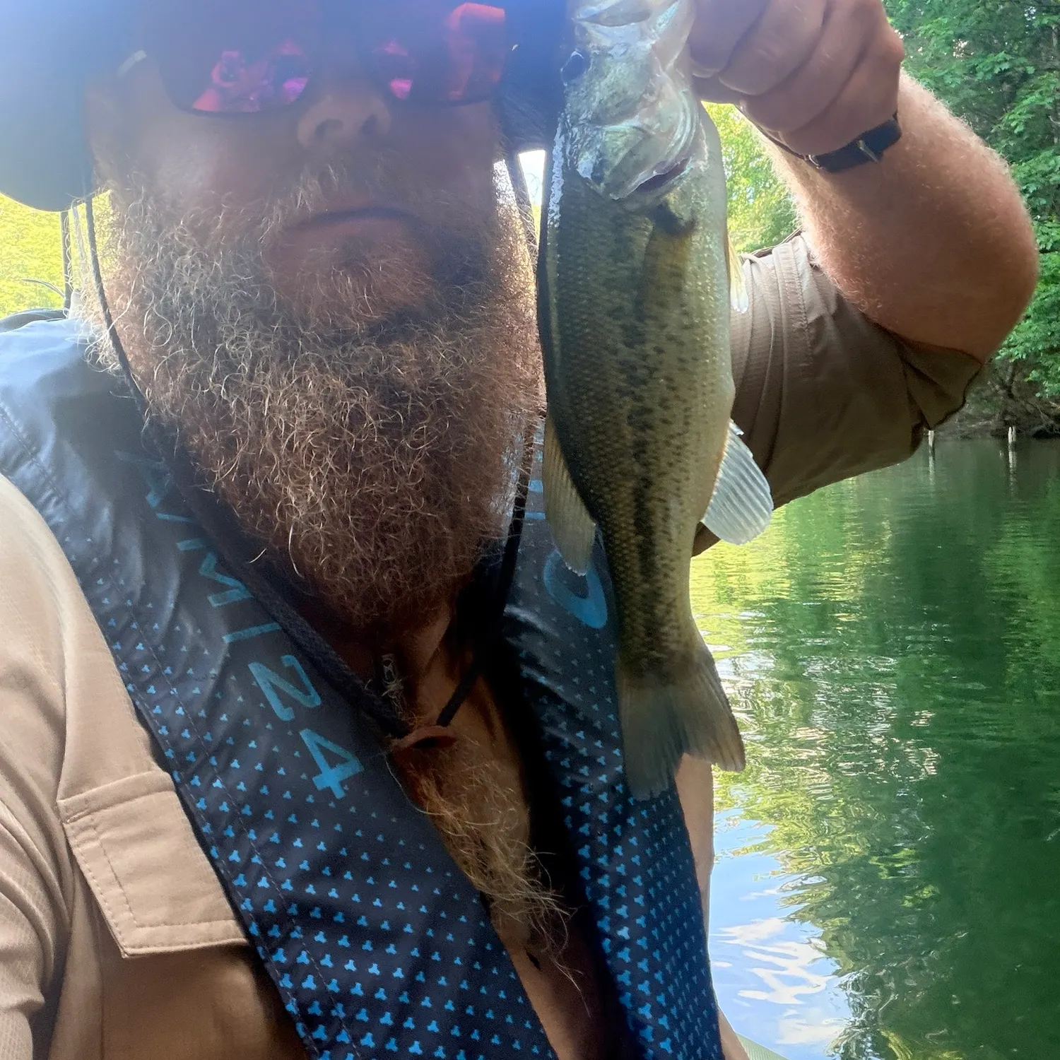 Largemouth bass caught on Fishbrain