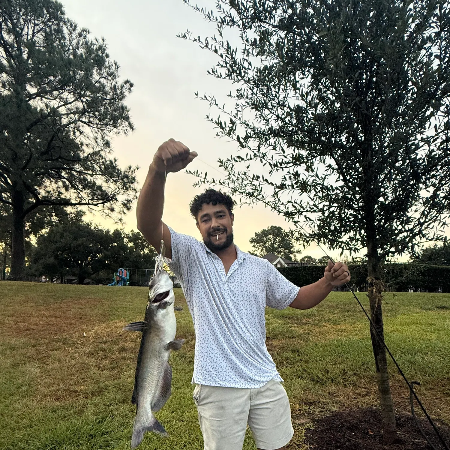 Channel catfish caught on Fishbrain