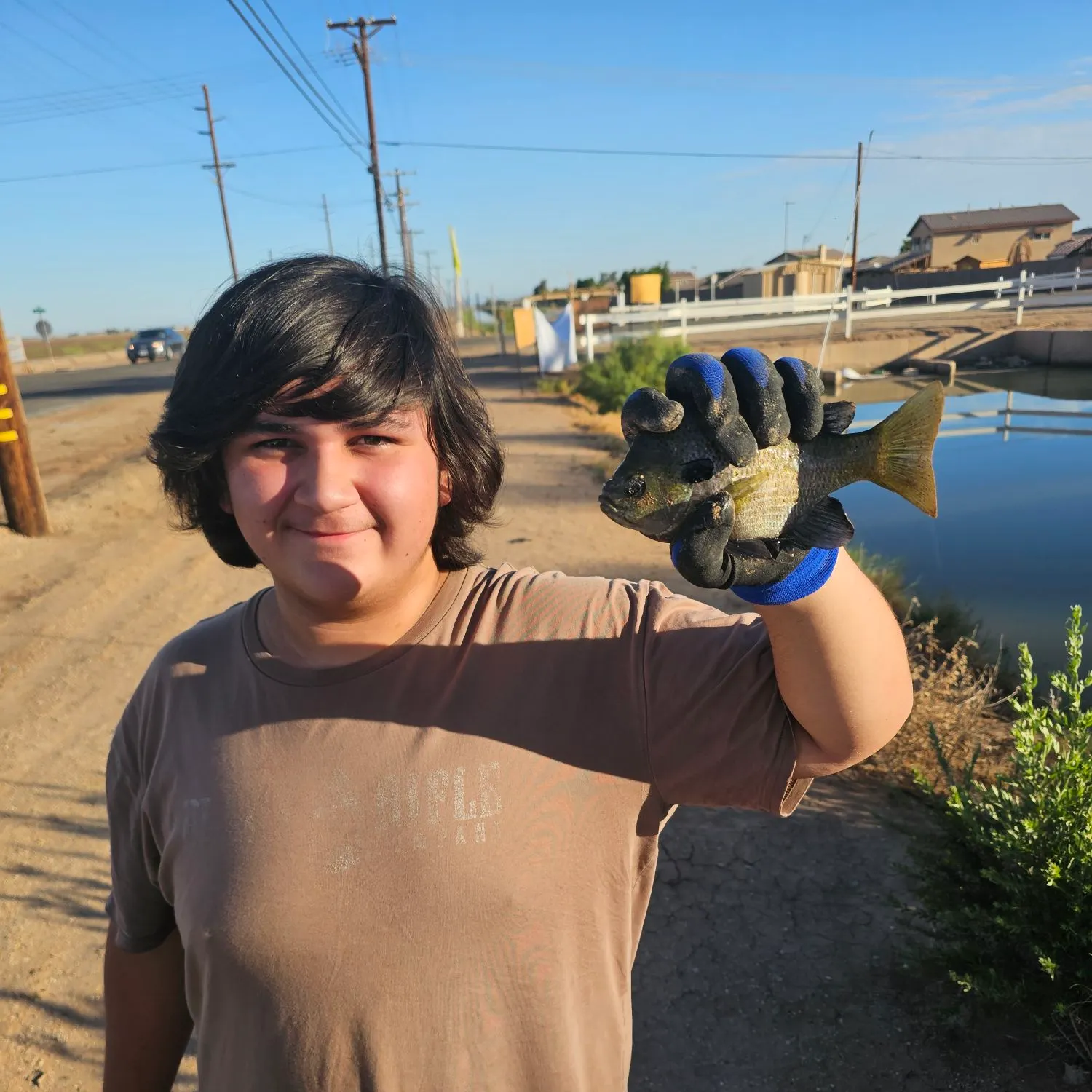 Bluegill caught on Fishbrain