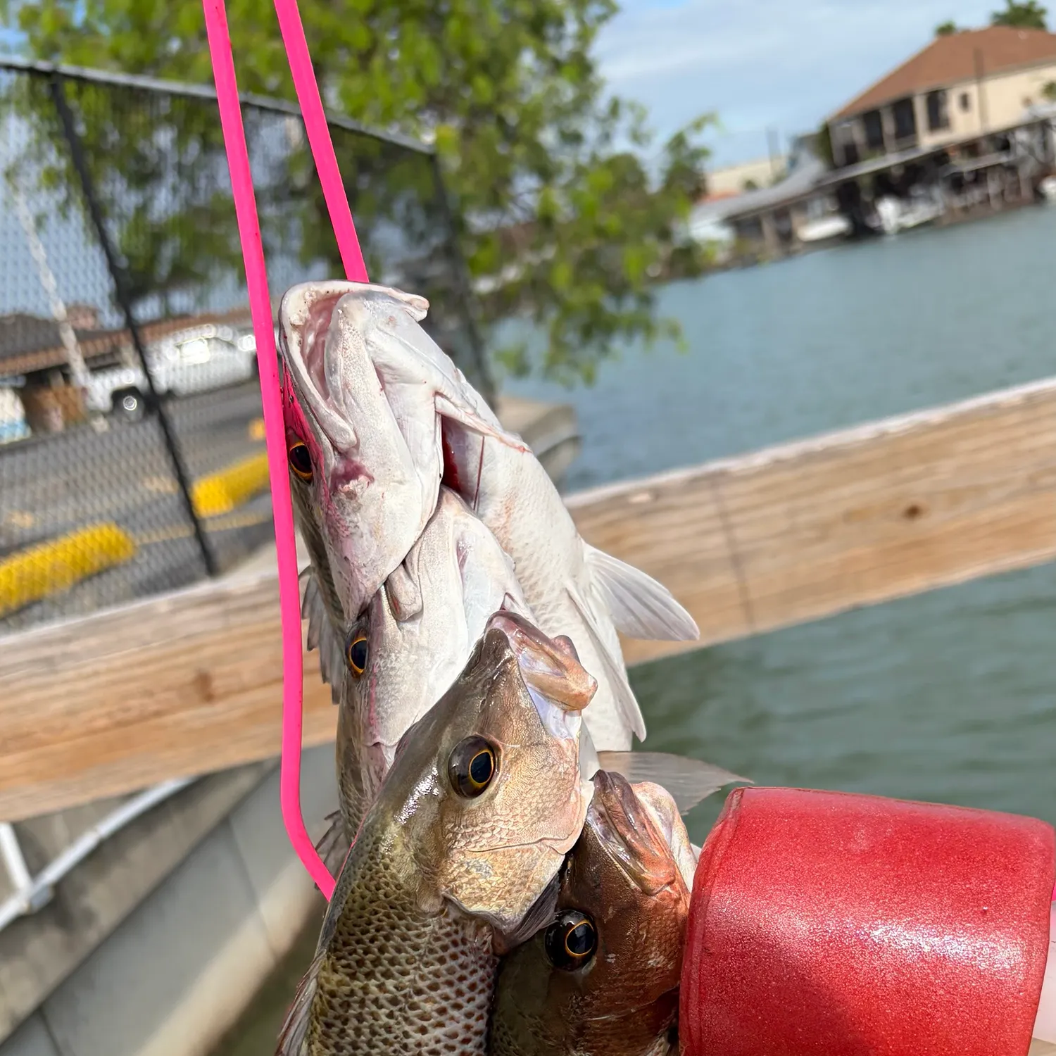 catch