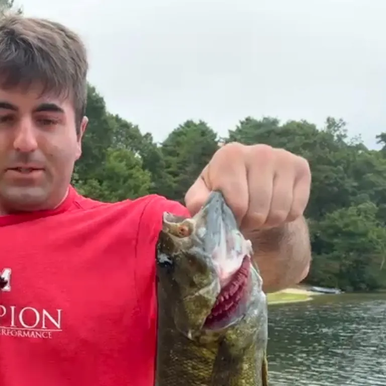 angler catch