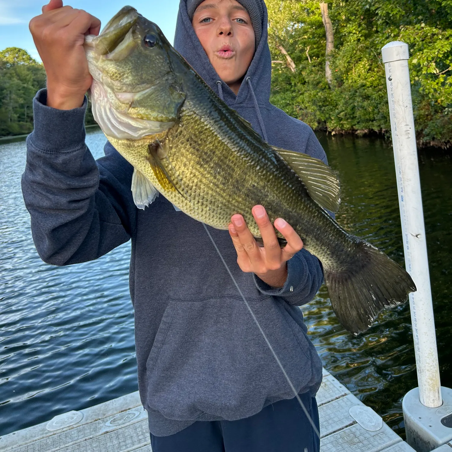 Largemouth bass caught on Fishbrain