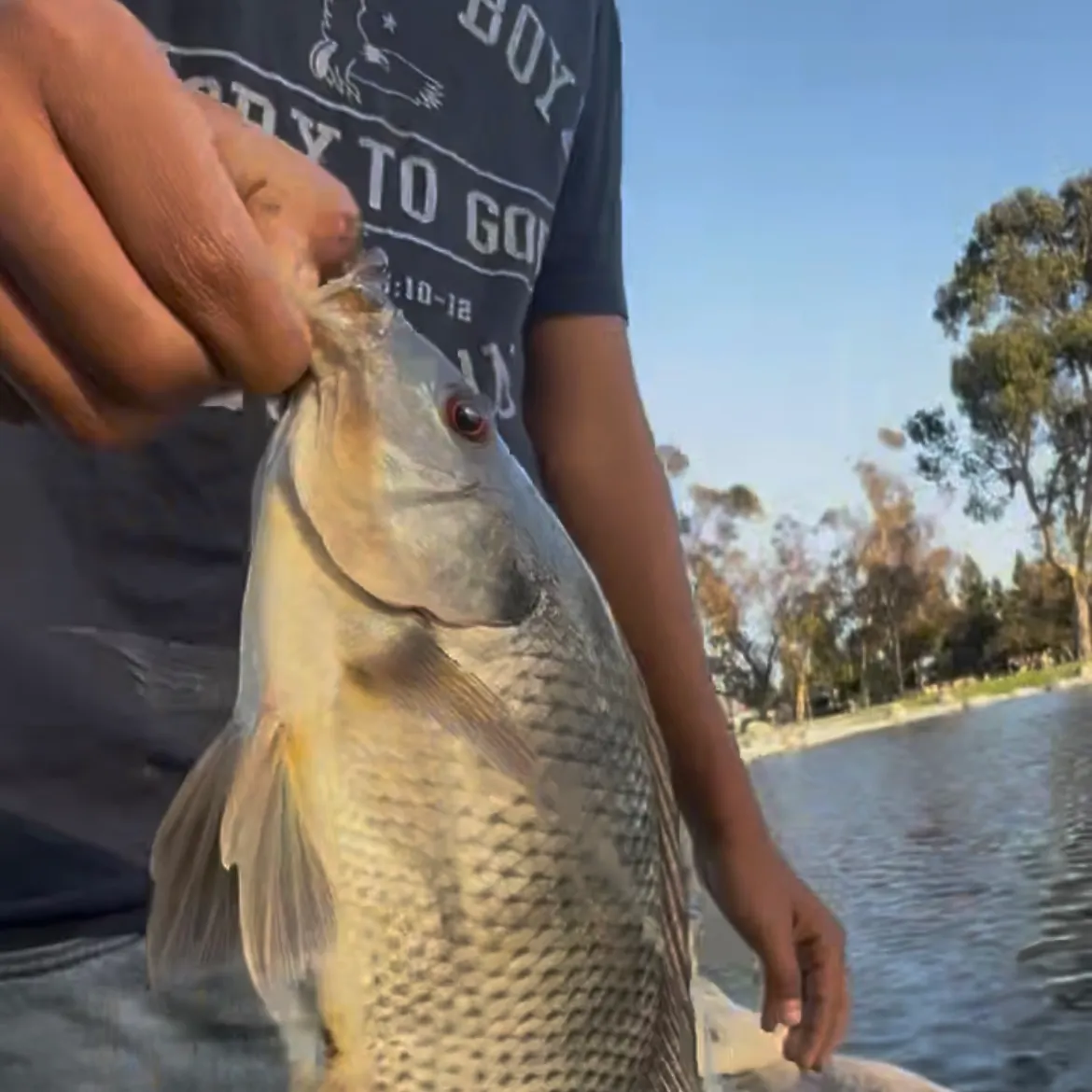catch