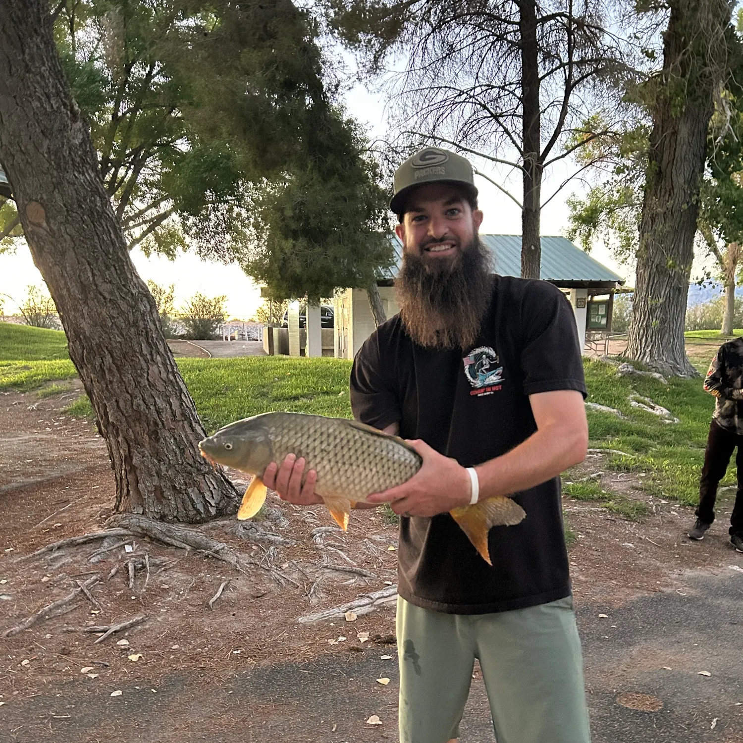 Common carp caught on Fishbrain