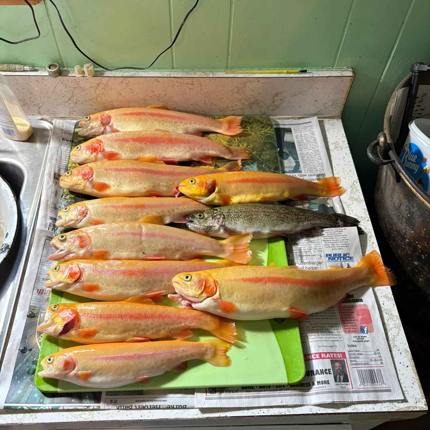 recently logged catches