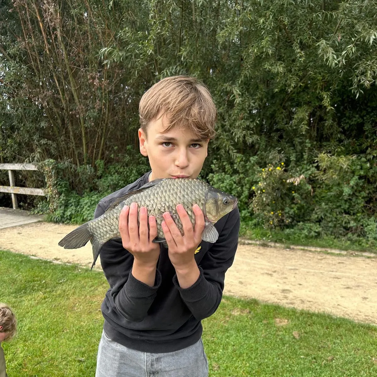 Crucian carp caught on Fishbrain