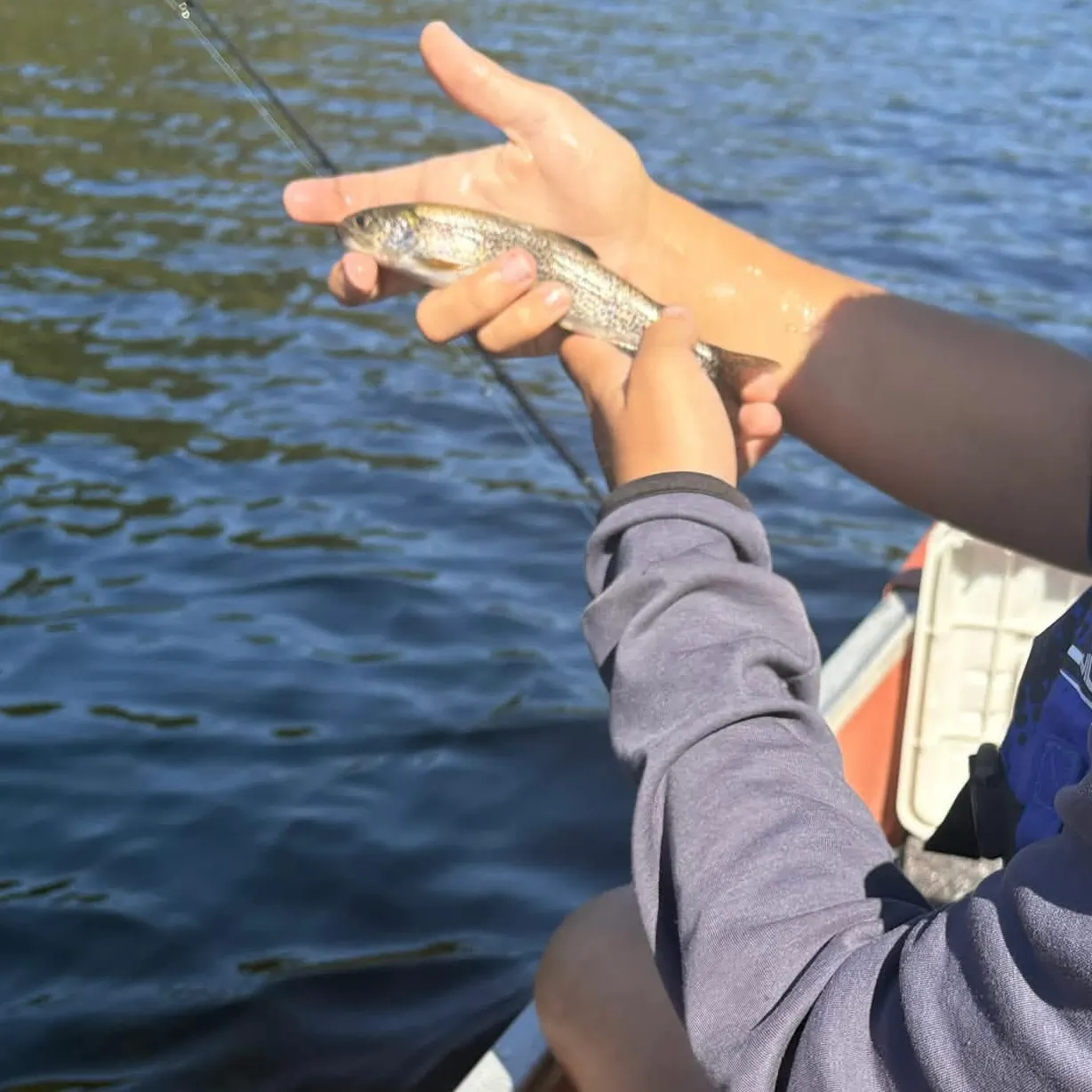 Coastal cutthroat trout caught on Fishbrain
