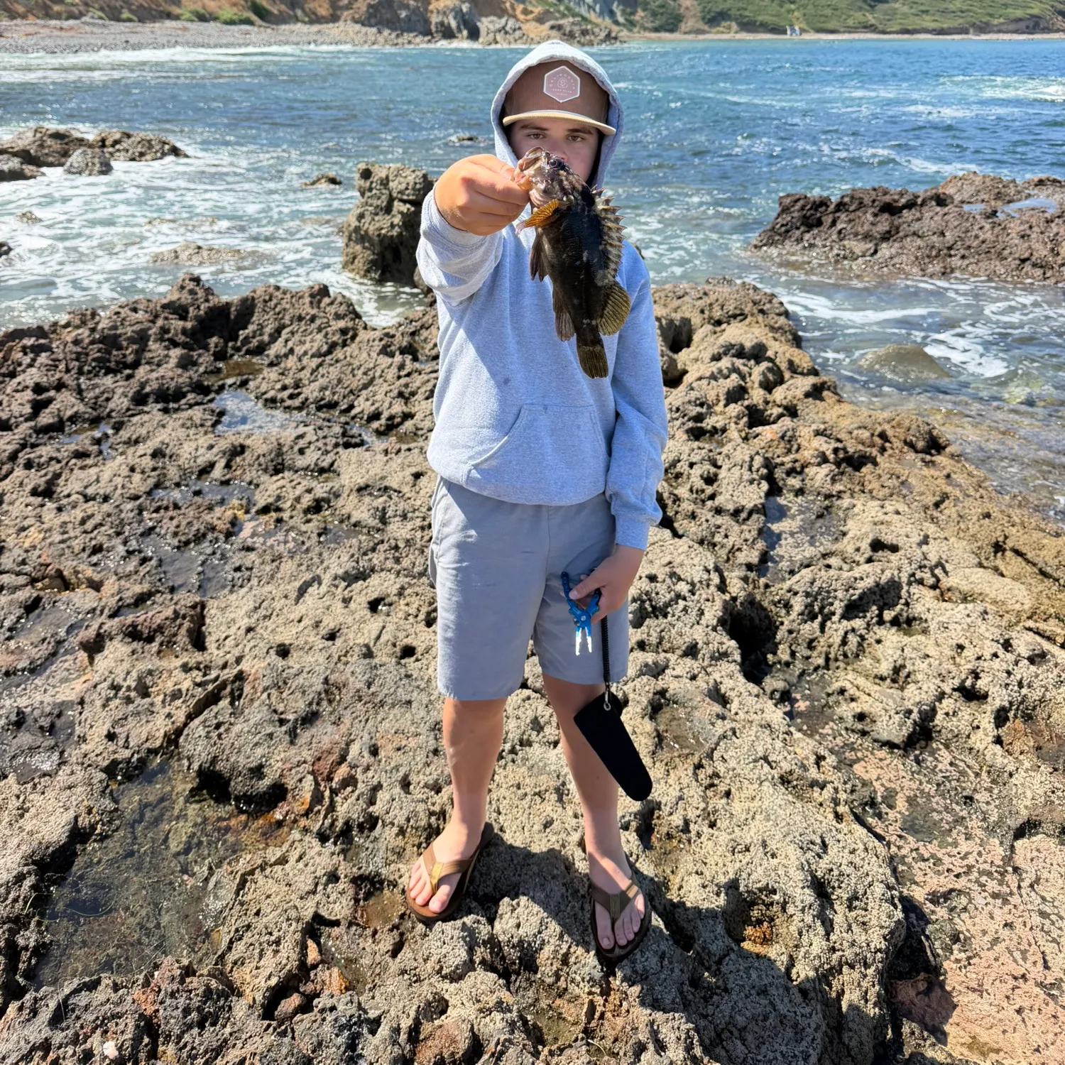 The most recent Brown rockfish catches on Fishbrain