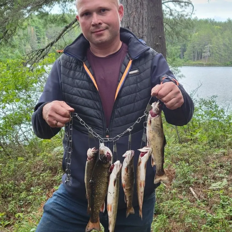 angler catch