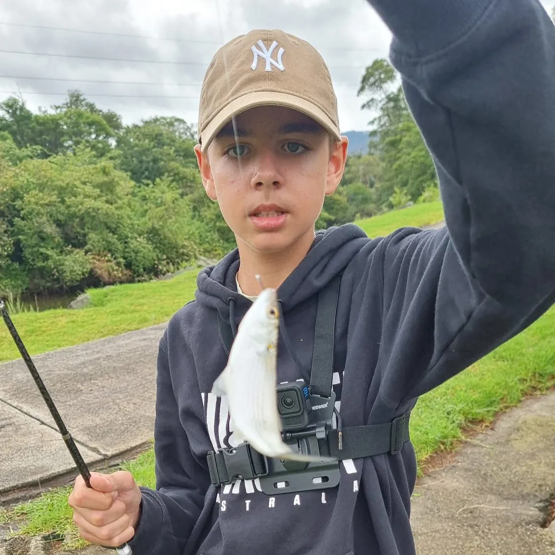 The most recent Yellow-eye mullet catches on Fishbrain