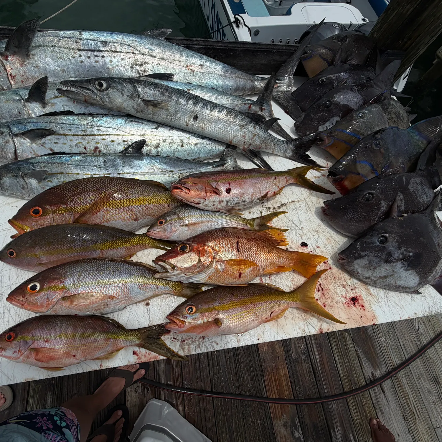 recently logged catches