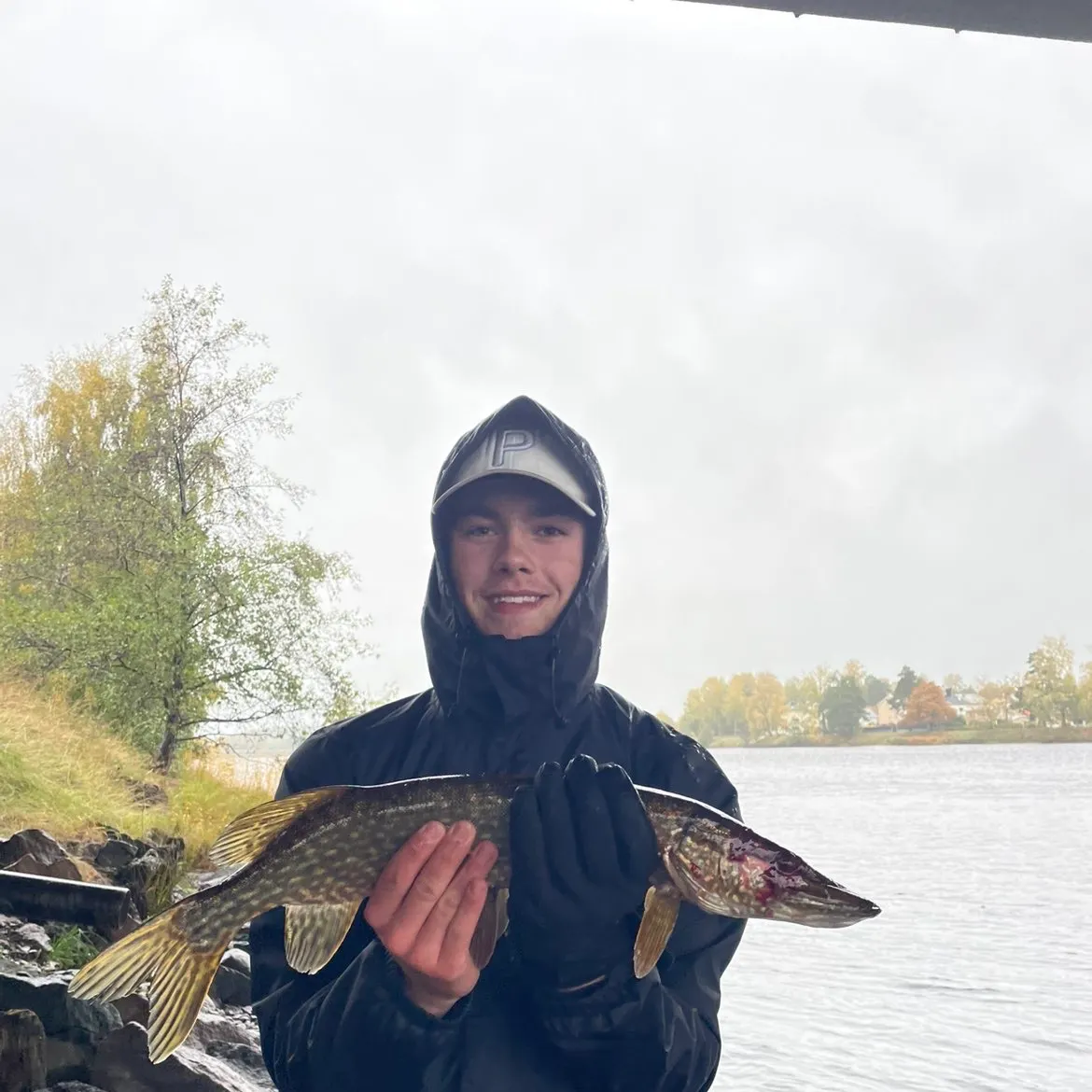 Northern pike caught on Fishbrain