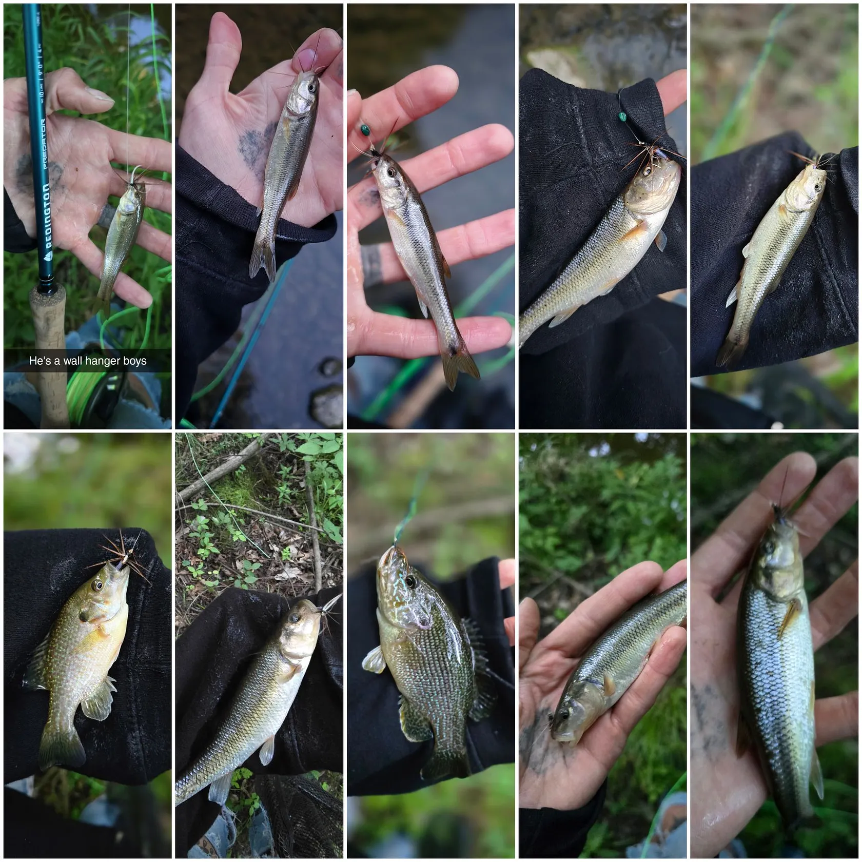 recently logged catches