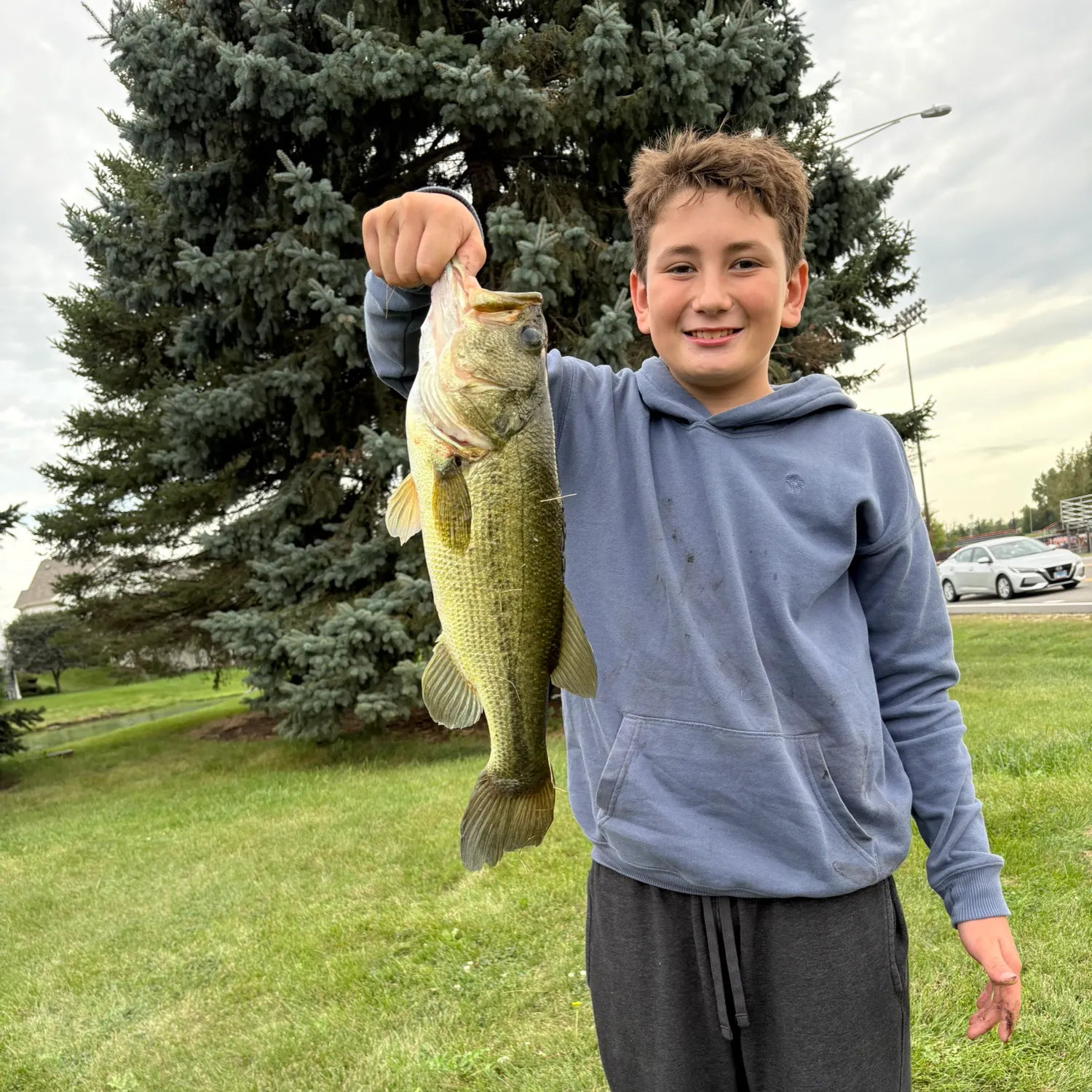 The most recent Largemouth bass catches on Fishbrain