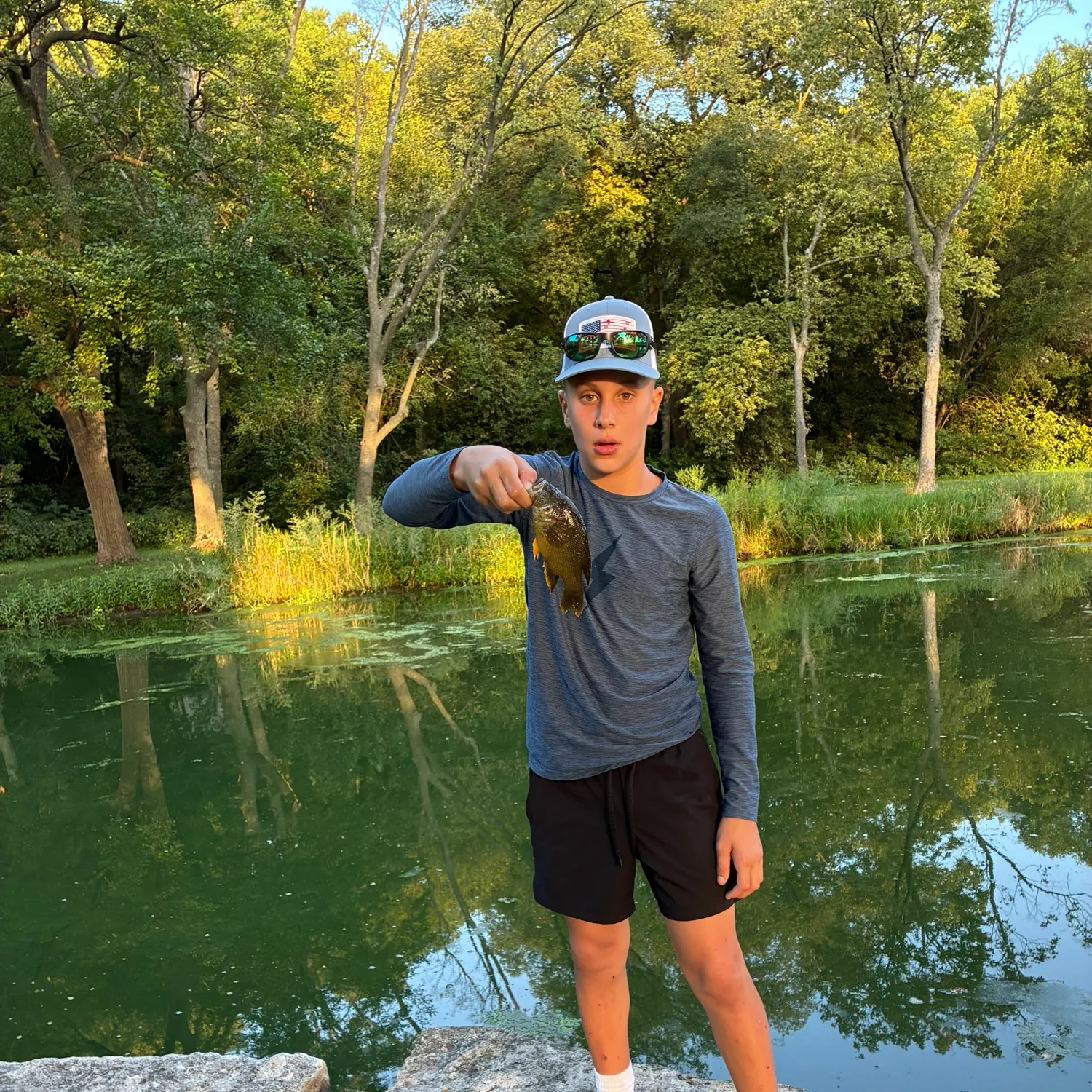 Dollar sunfish caught on Fishbrain