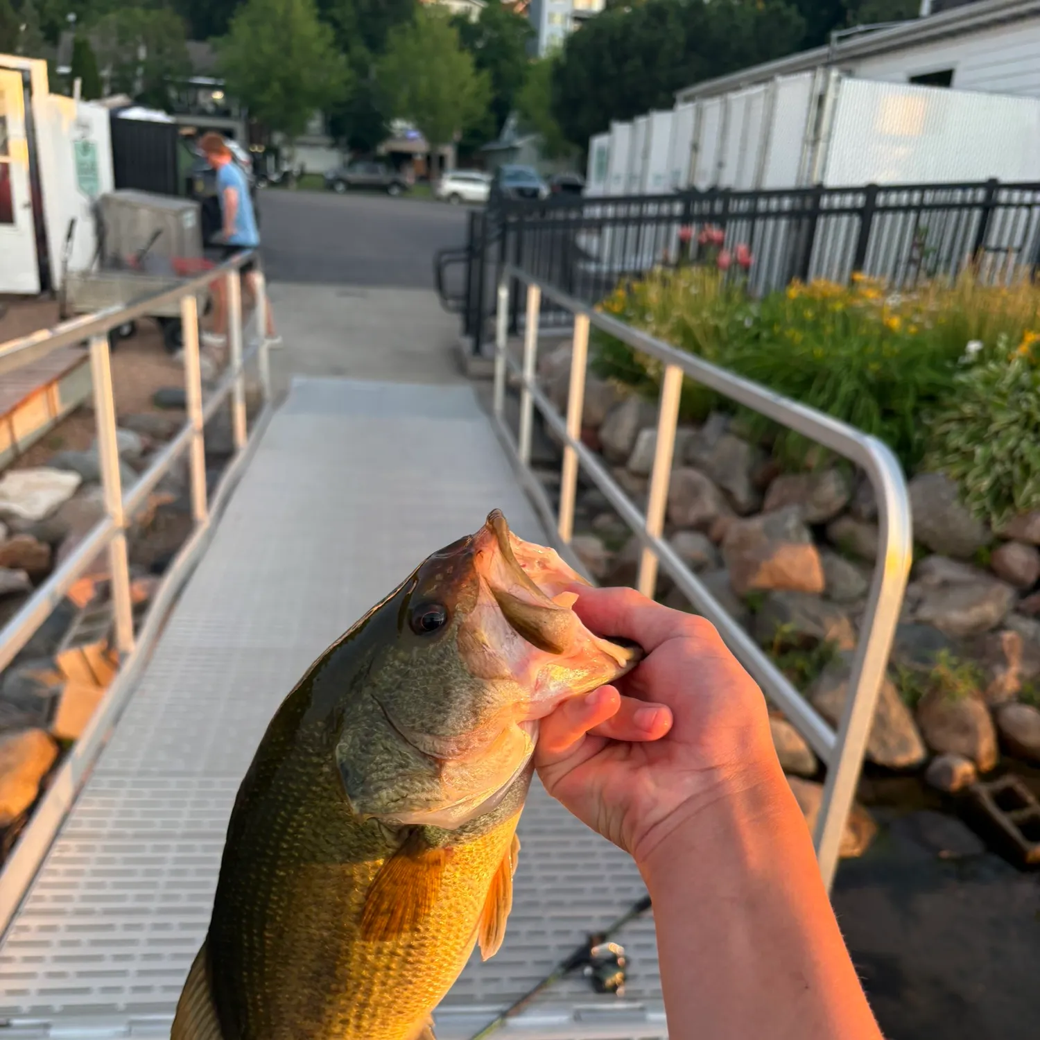 catch