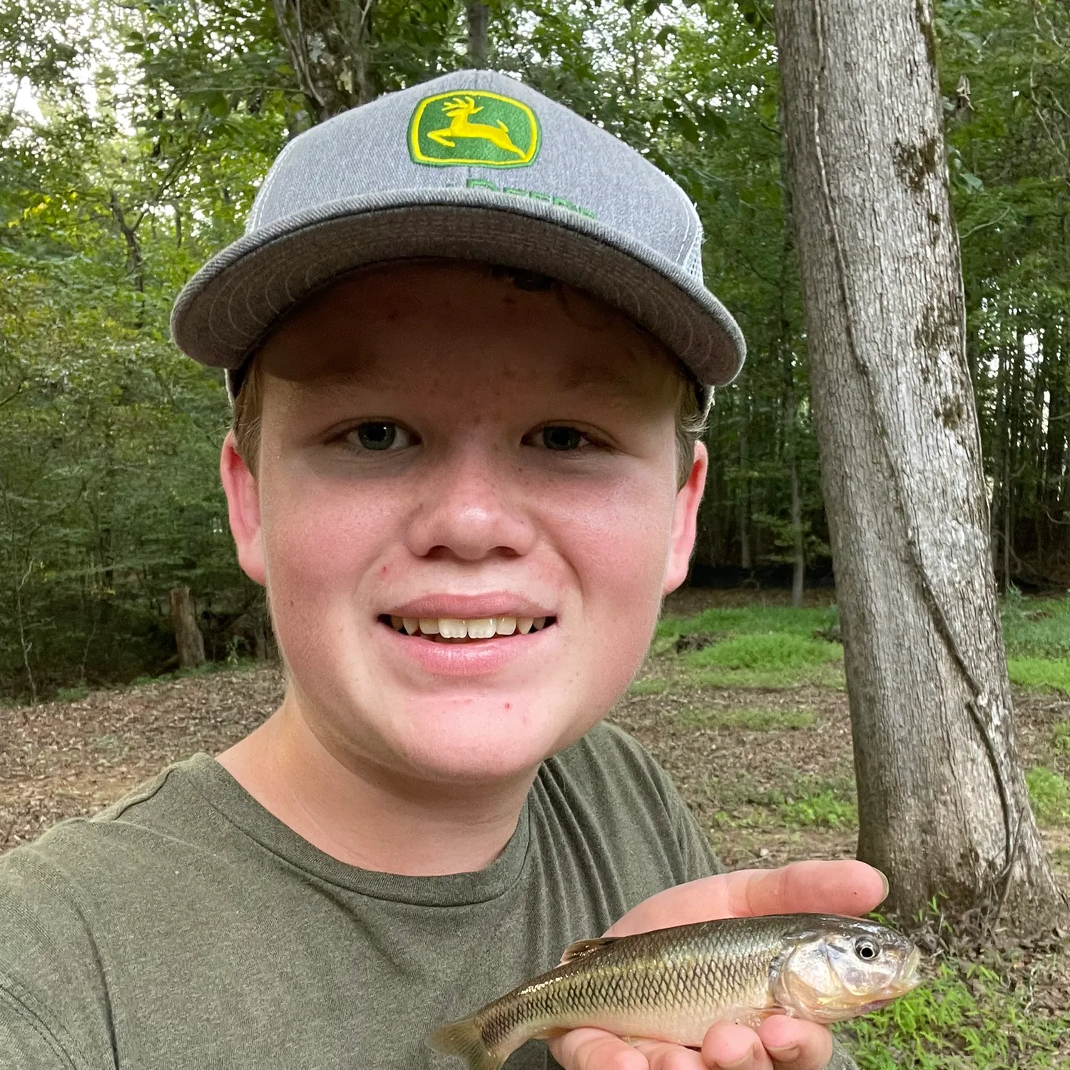 The most recent Creek chub catches on Fishbrain