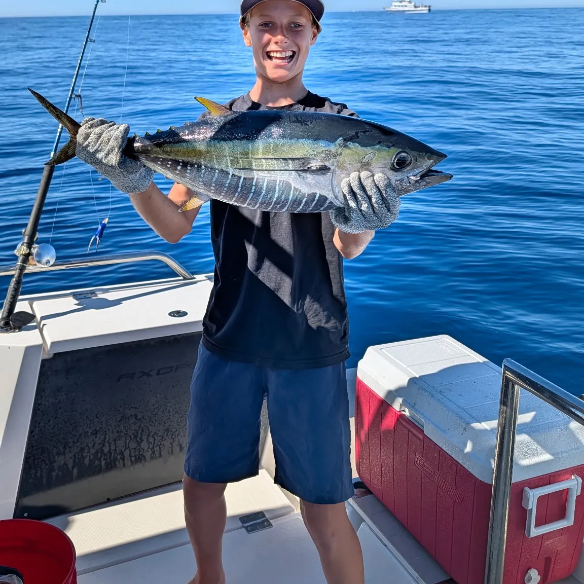 Fish caught on Fishbrain