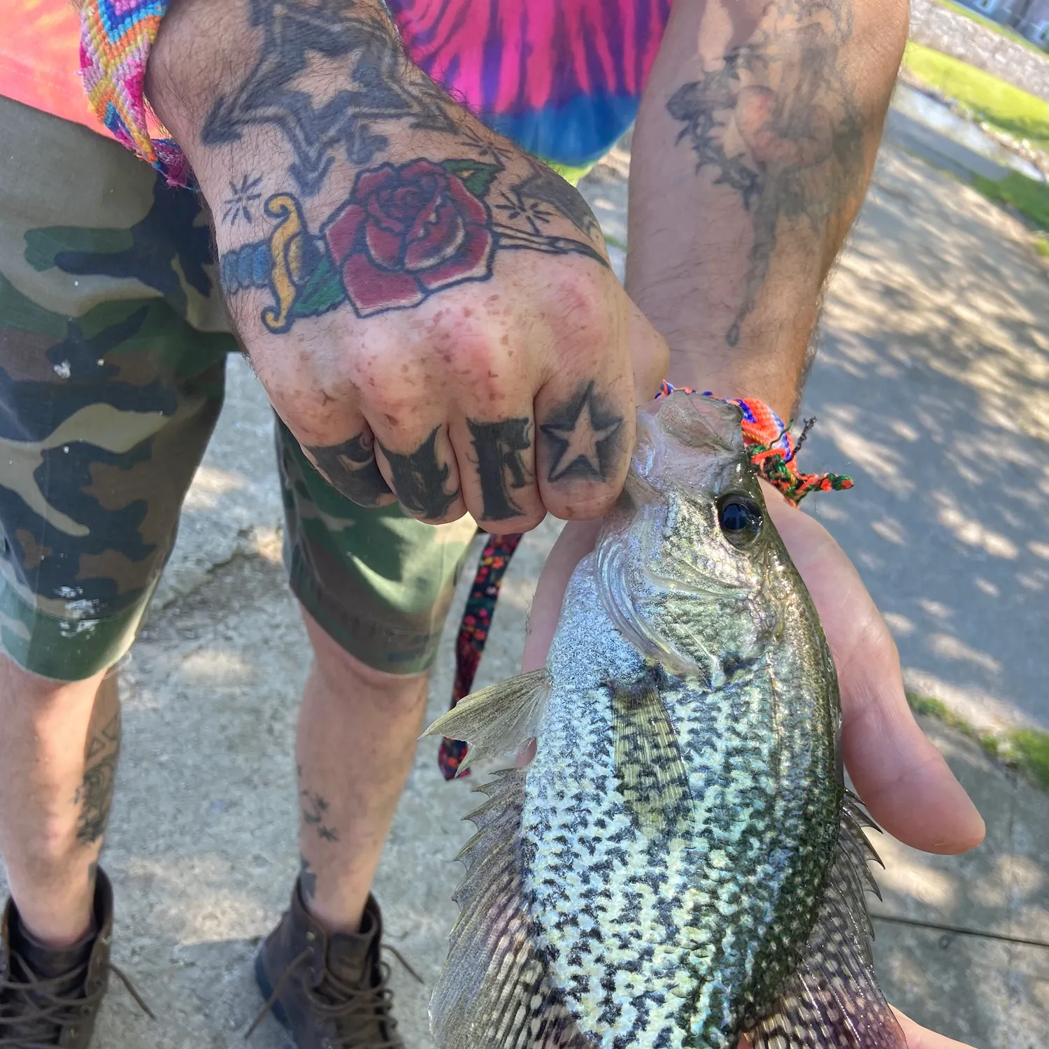 catch