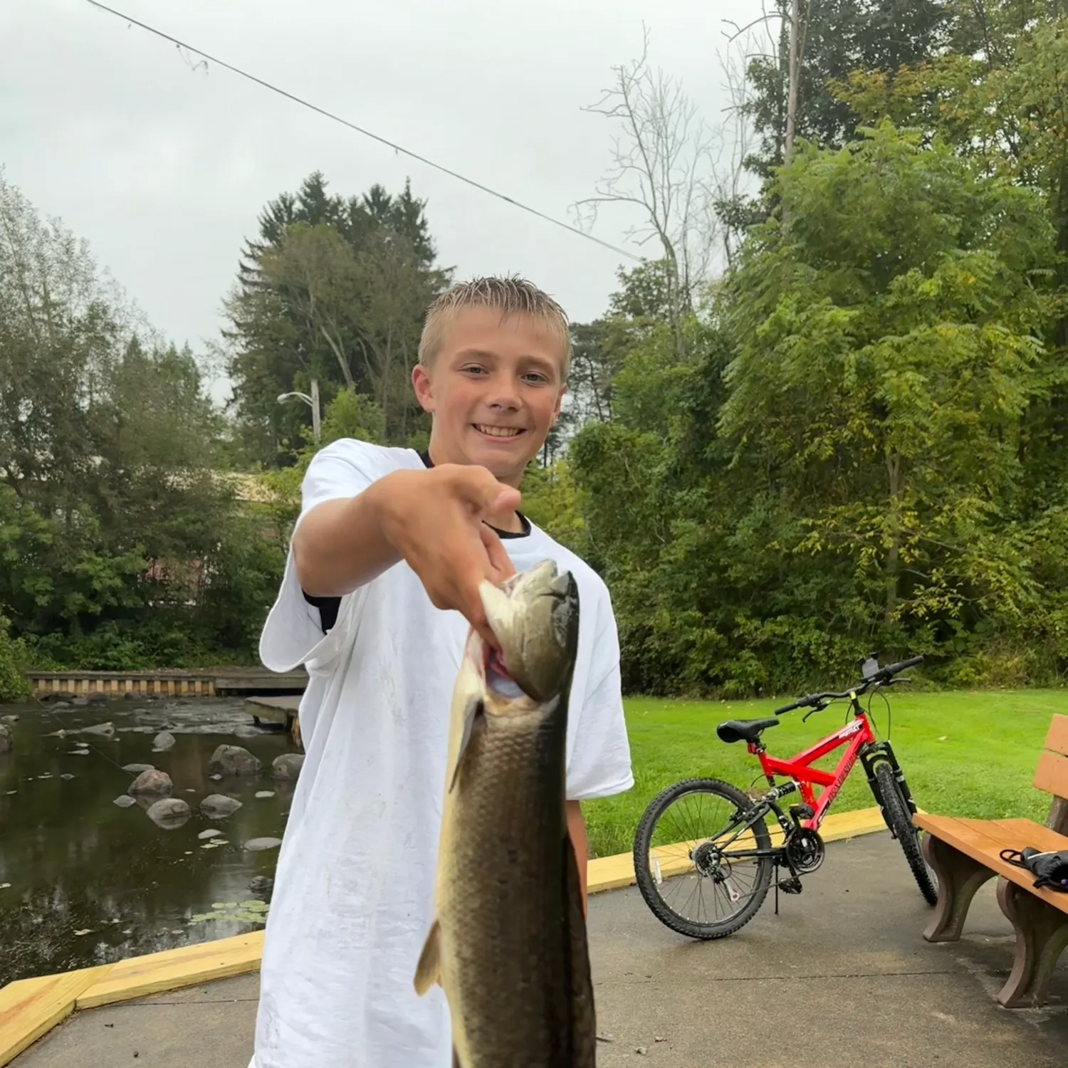 Eyetail bowfin caught on Fishbrain