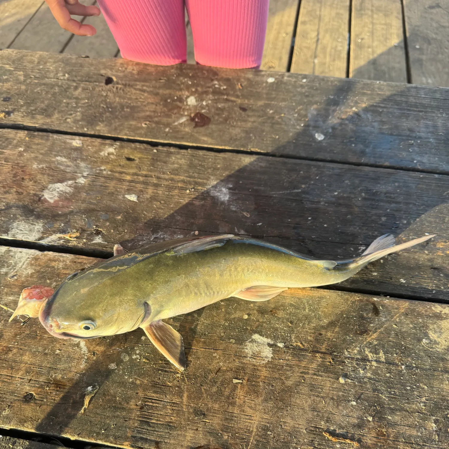 catch
