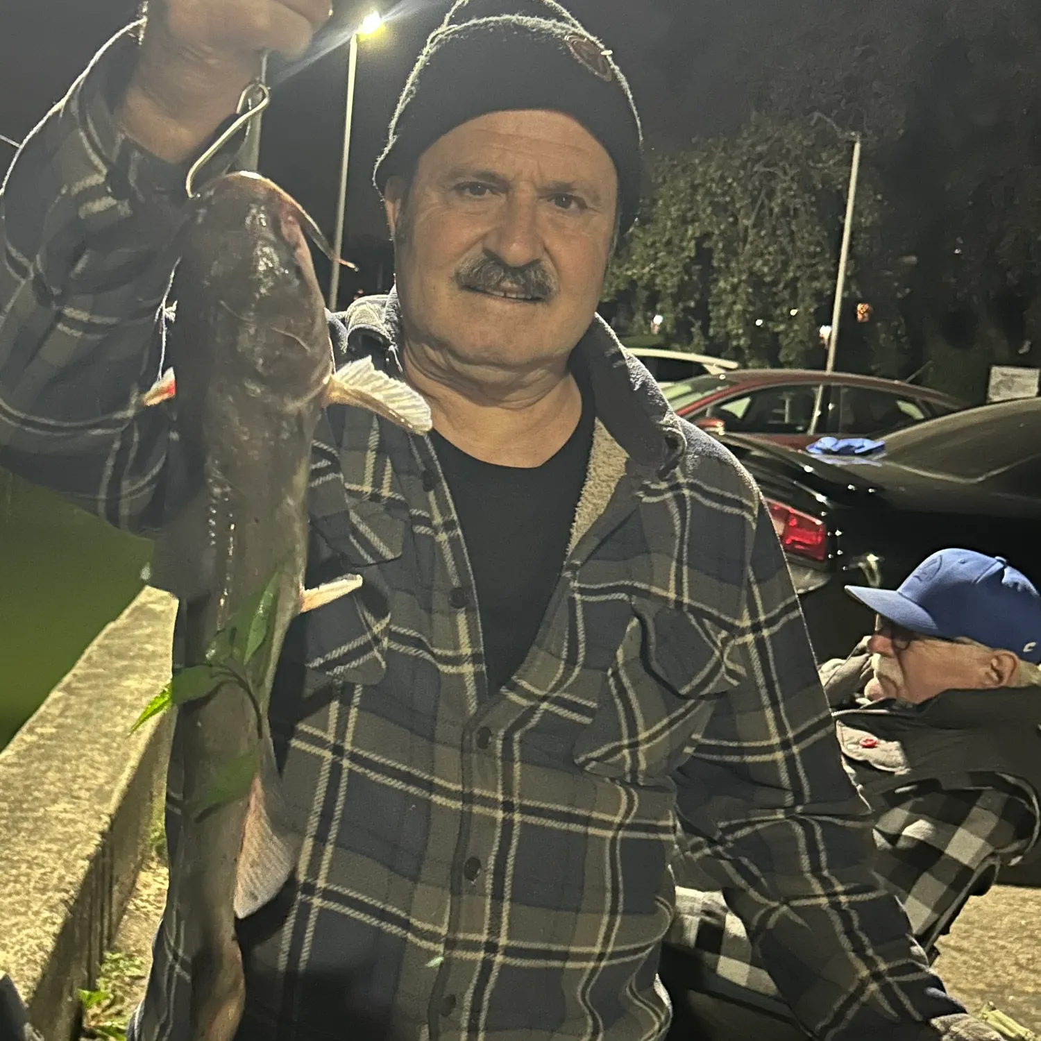 Channel catfish caught on Fishbrain