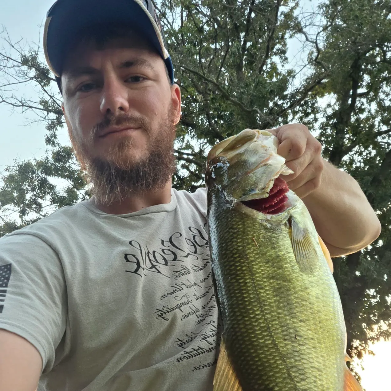 Largemouth bass caught on Fishbrain