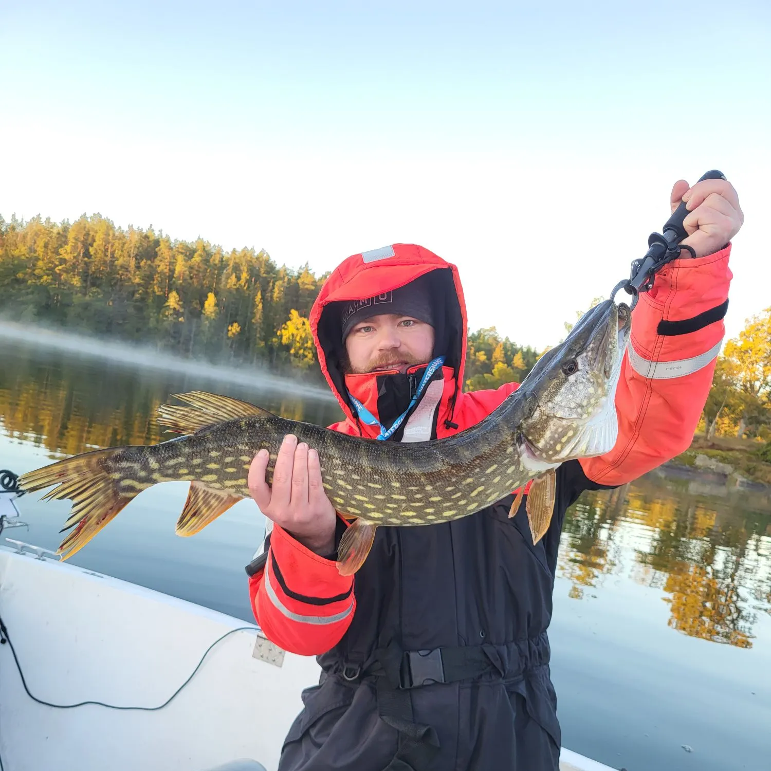 Northern pike caught on Fishbrain