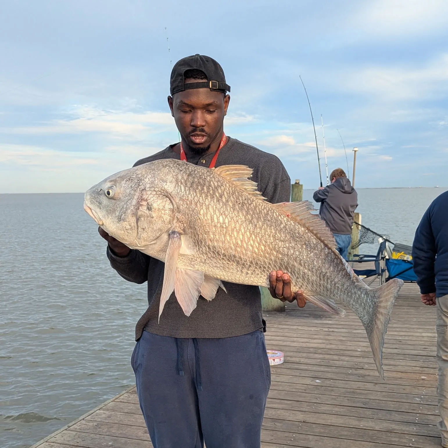 The most recent Black drum catches on Fishbrain