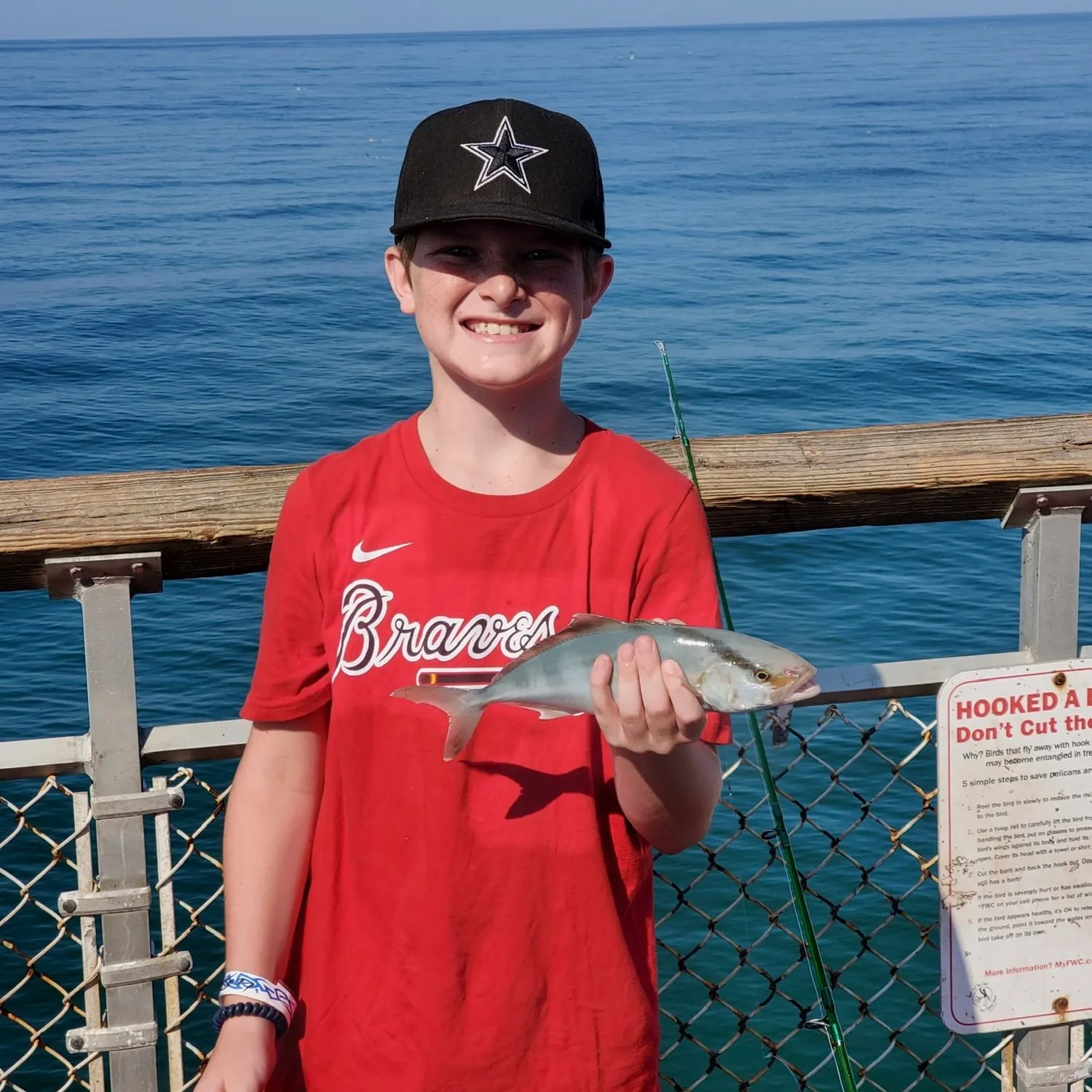 The most recent California yellowtail amberjack catches on Fishbrain