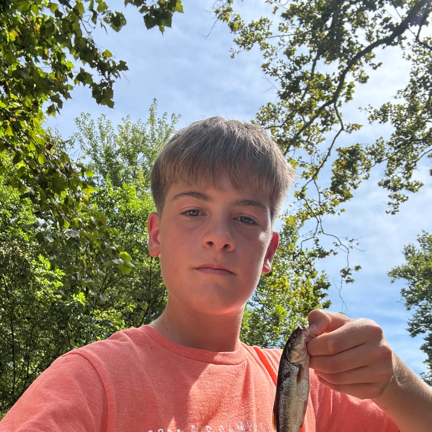 Creek chub caught on Fishbrain