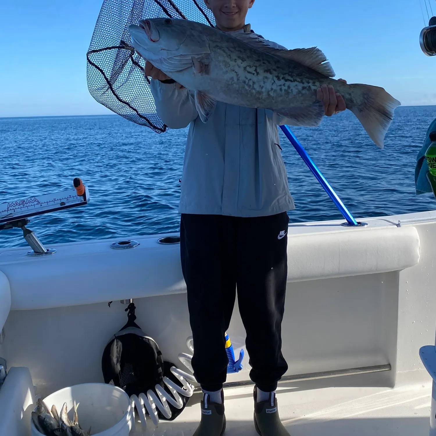 The most recent Gag grouper catches on Fishbrain