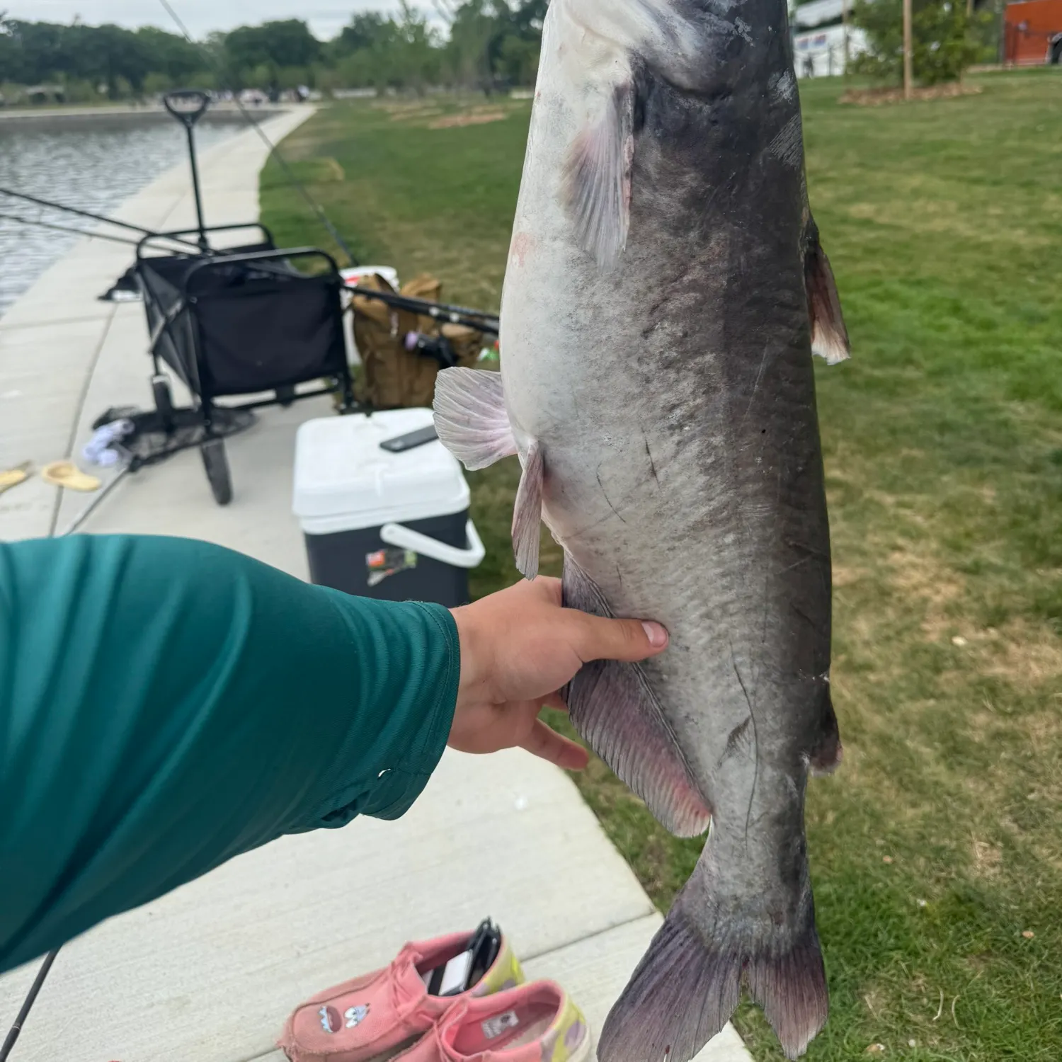 catch