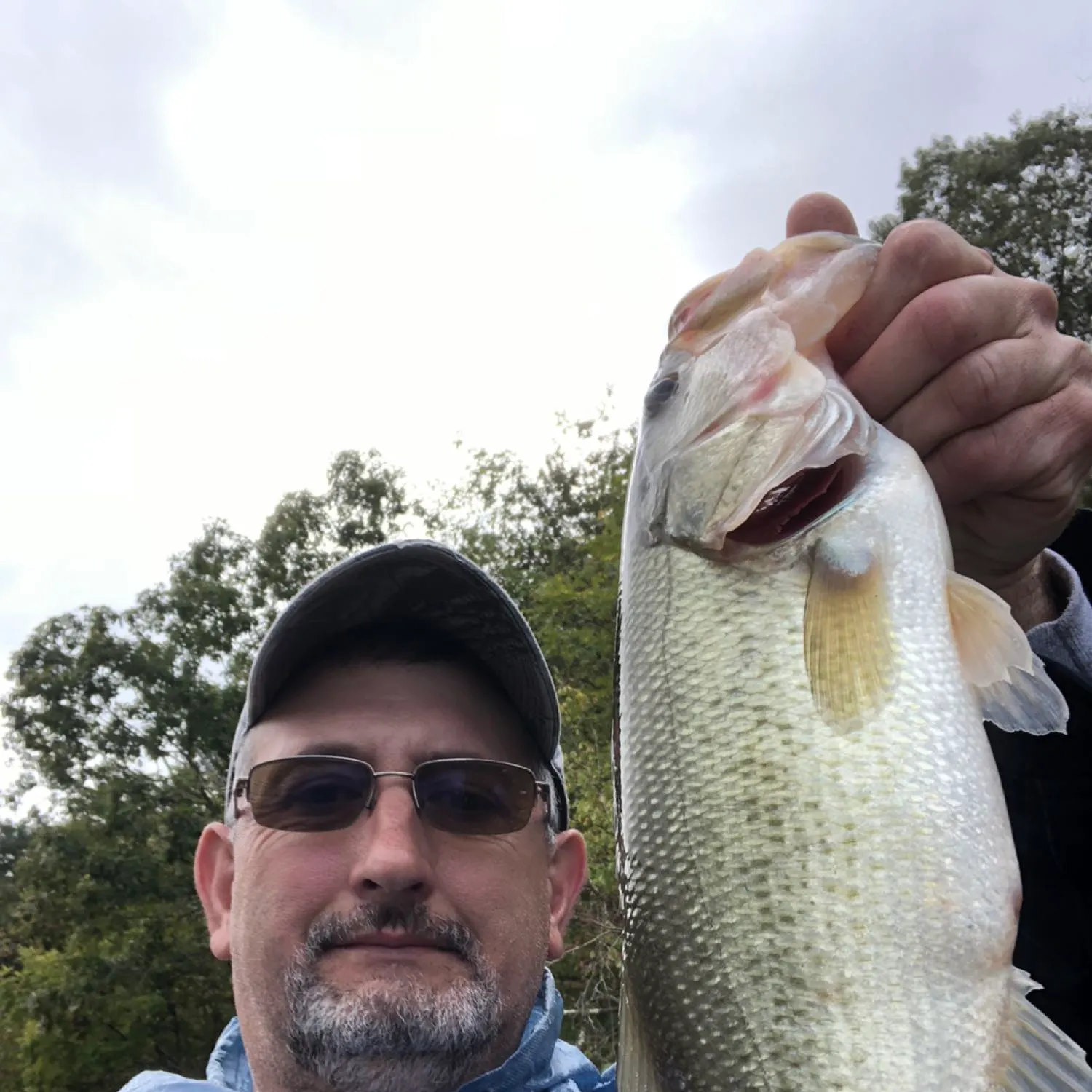 angler catch