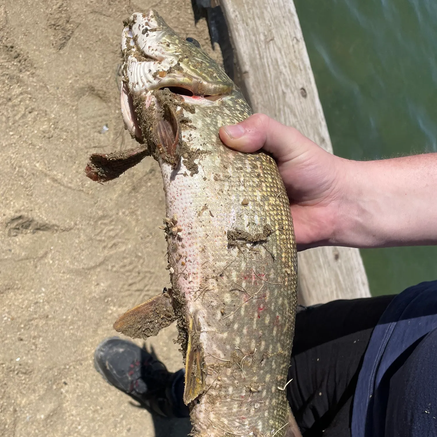 catch