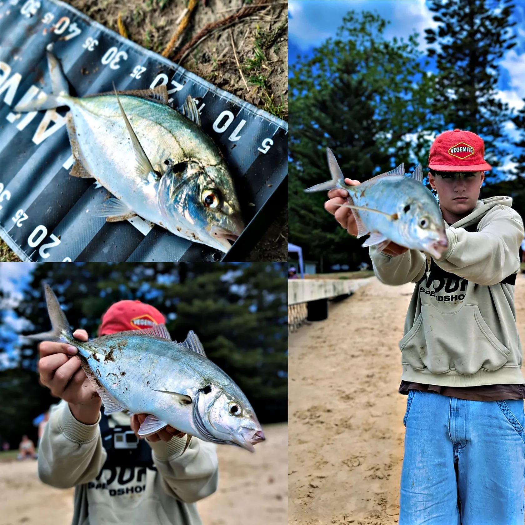 White trevally caught on Fishbrain